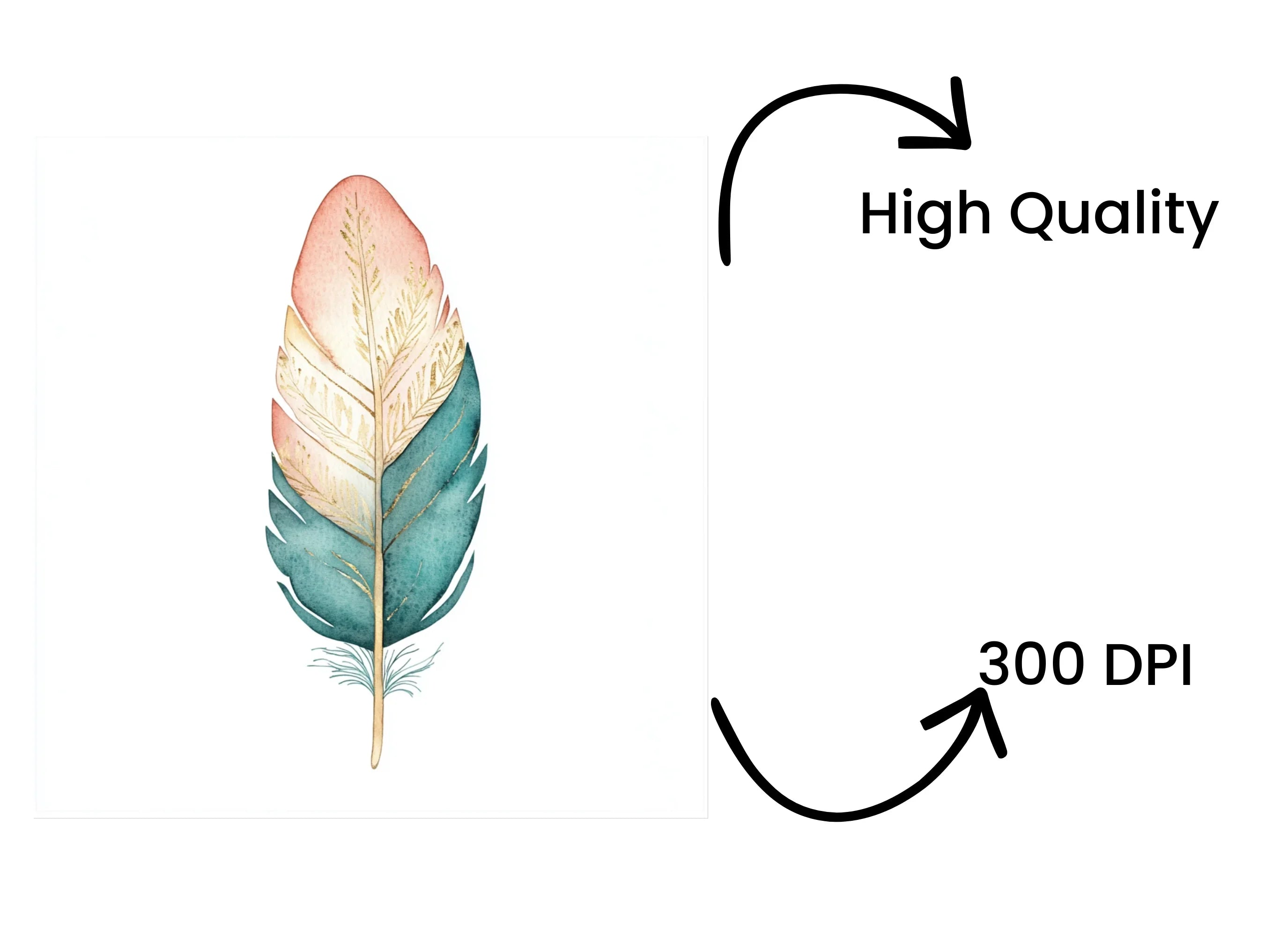 Boho Chic Feather Clipart Bundle