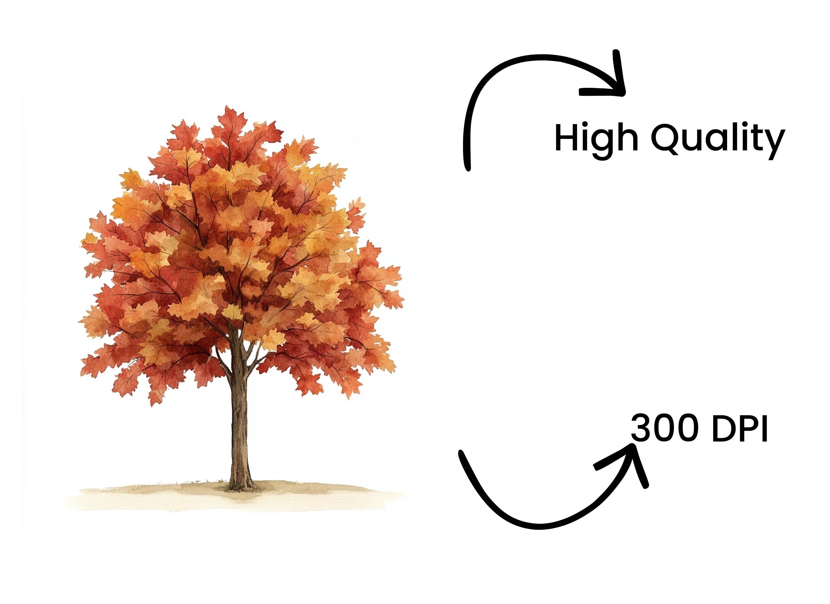 Autumn Trees Clipart Bundle