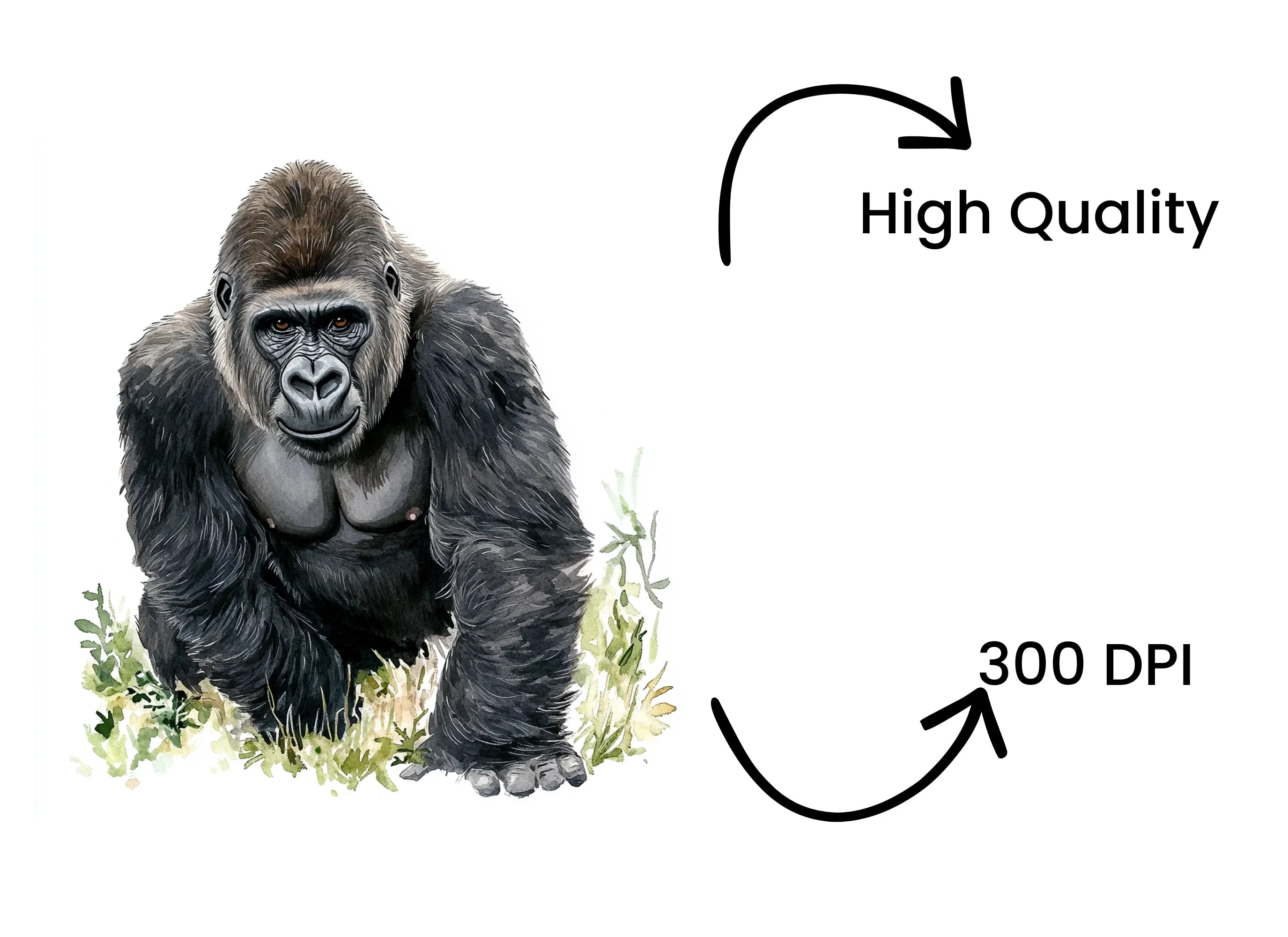 Majestic Gorilla Clipart Bundle