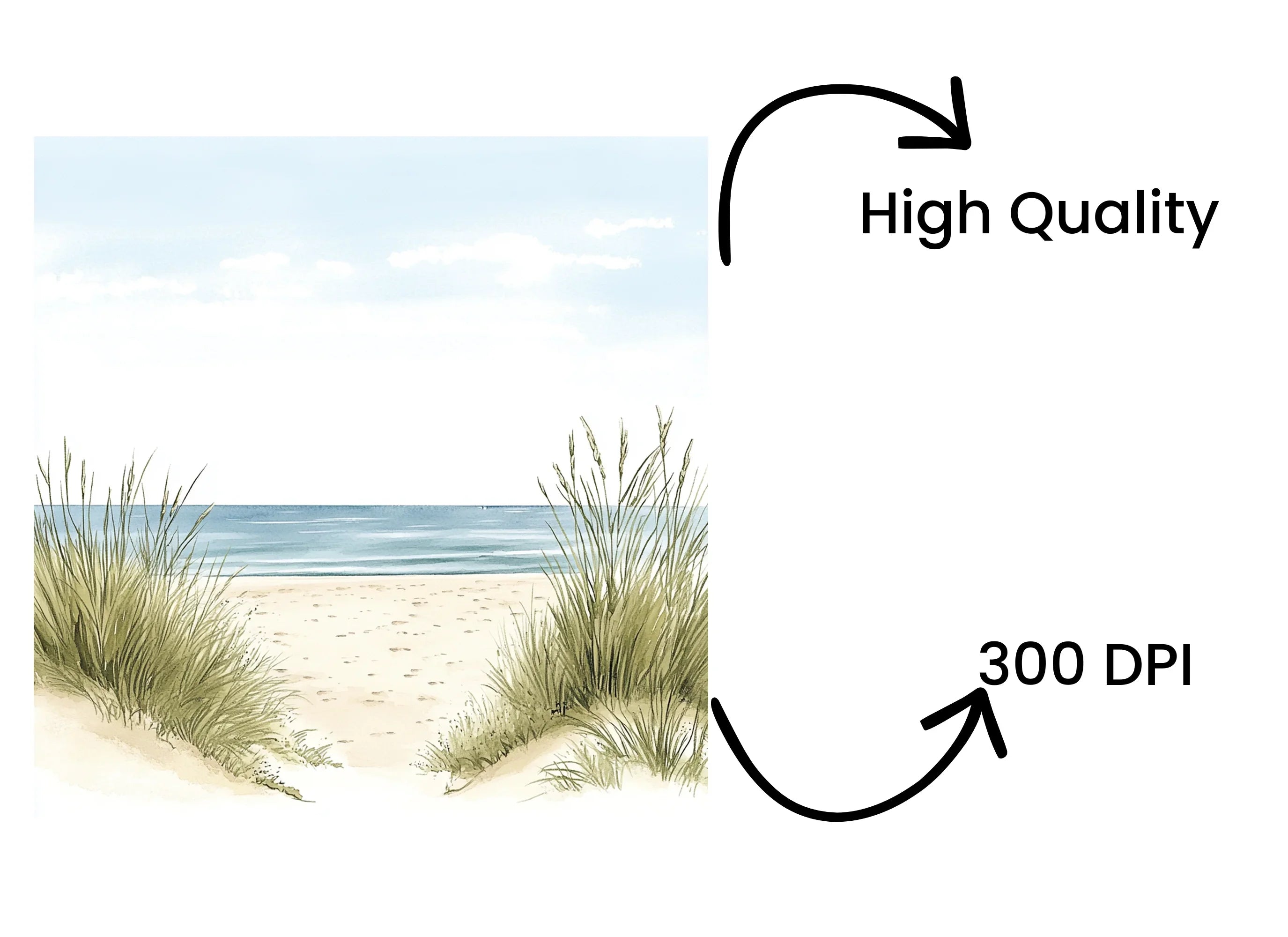 Coastal Beach Path with Dune Grass Clipart Bundle