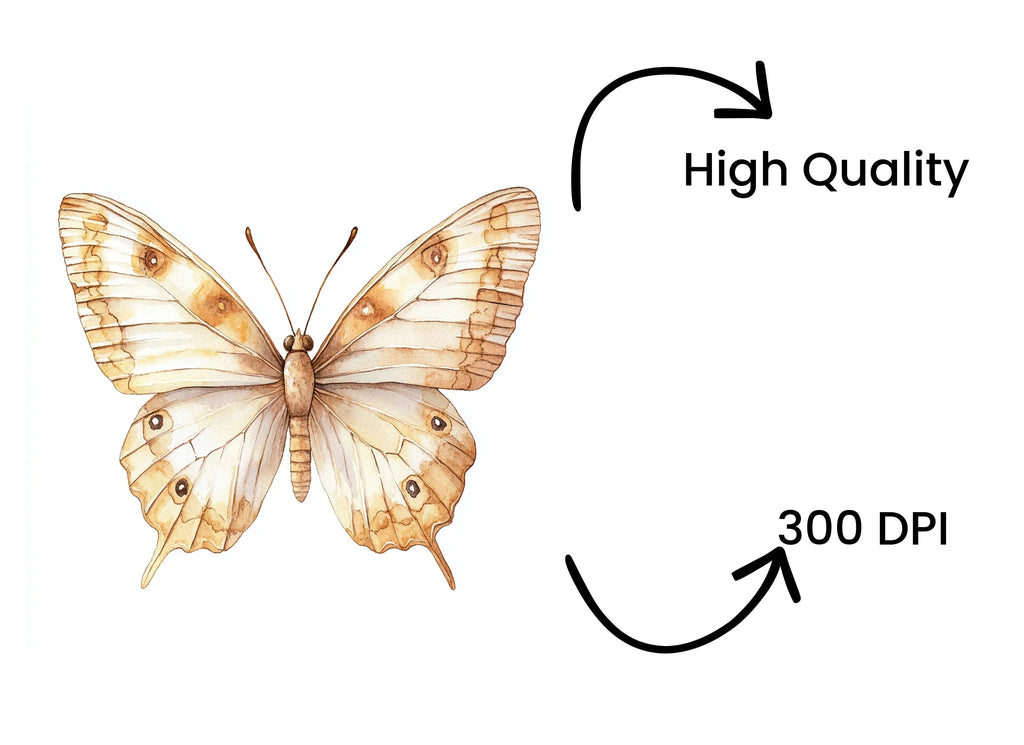 Vintage Brown Butterfly Clipart Bundle