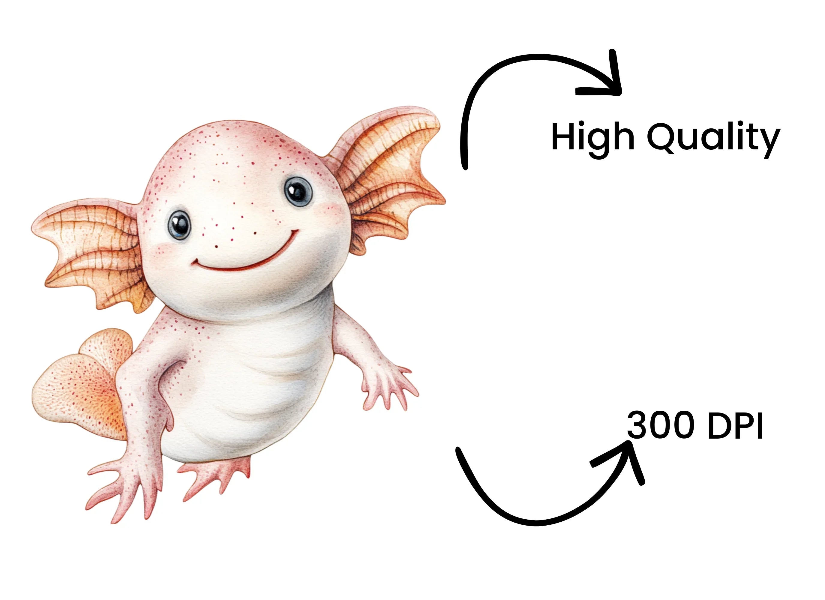 Cute Axolotl Clipart Bundle