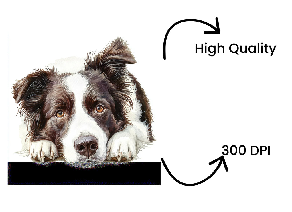 Adorable Border Collie Dog Clipart Bundle