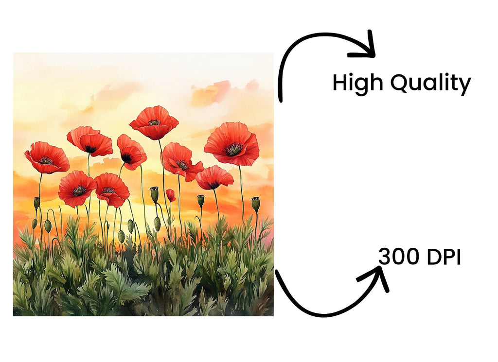 Poppy Field Sunset Landscape Clipart Bundle