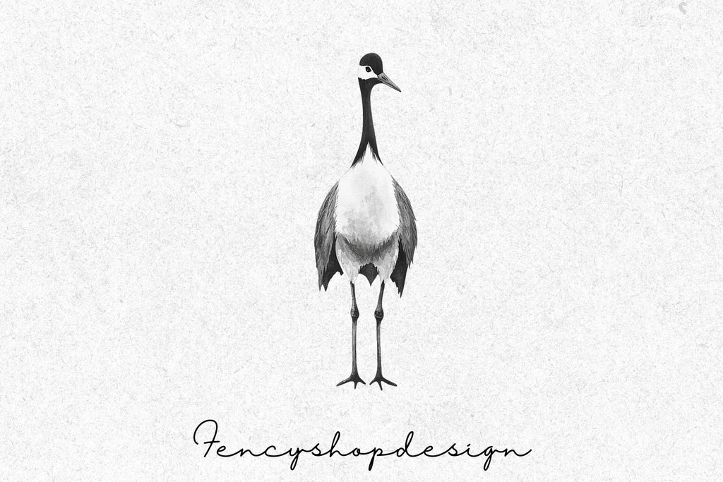 Elegant Crane Bird Clipart Bundle