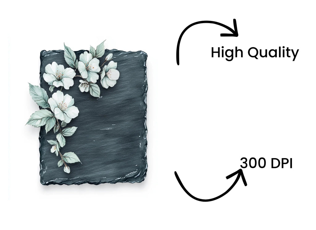 Elegant White Flowers on Slate Clipart Bundle