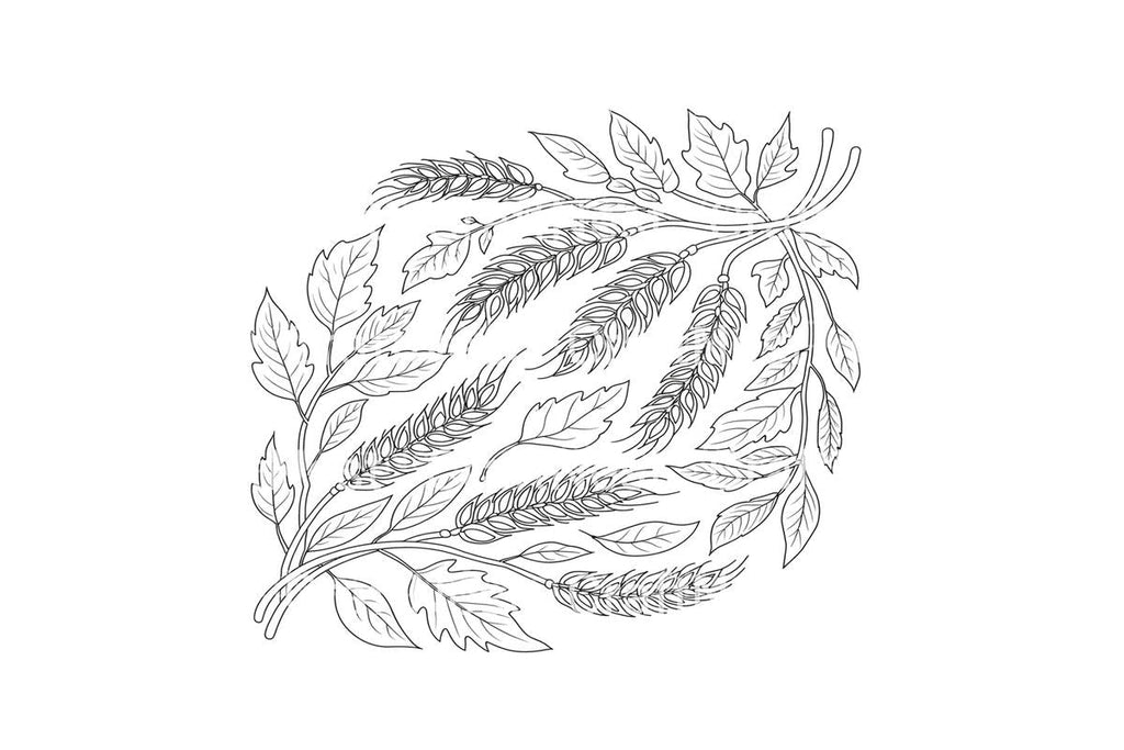 Autumn Harvest Wheat and Leaves Coloring Books