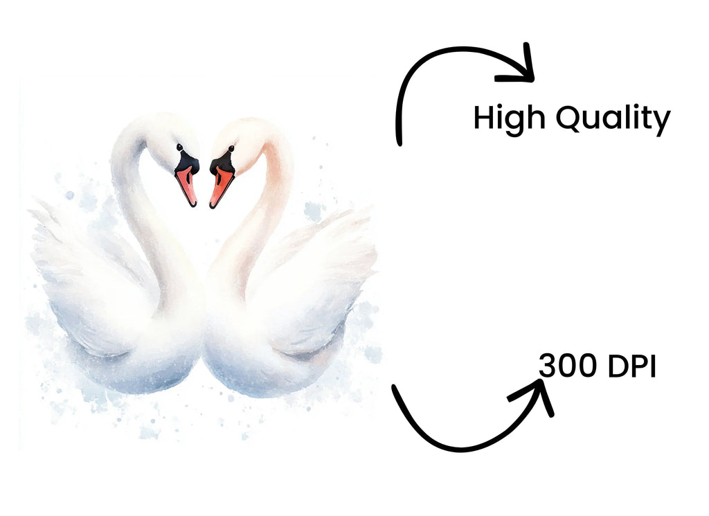 Swans Heart Clipart Bundle