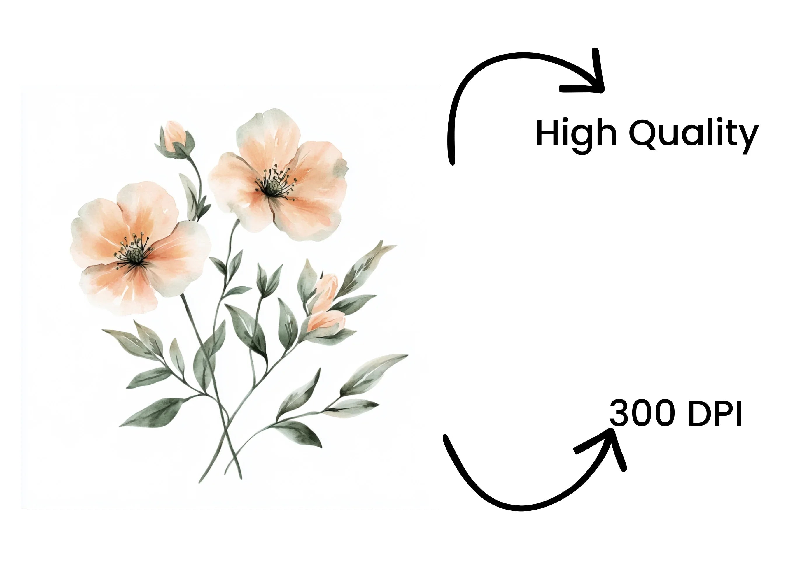 Peach Floral Clipart Bundle