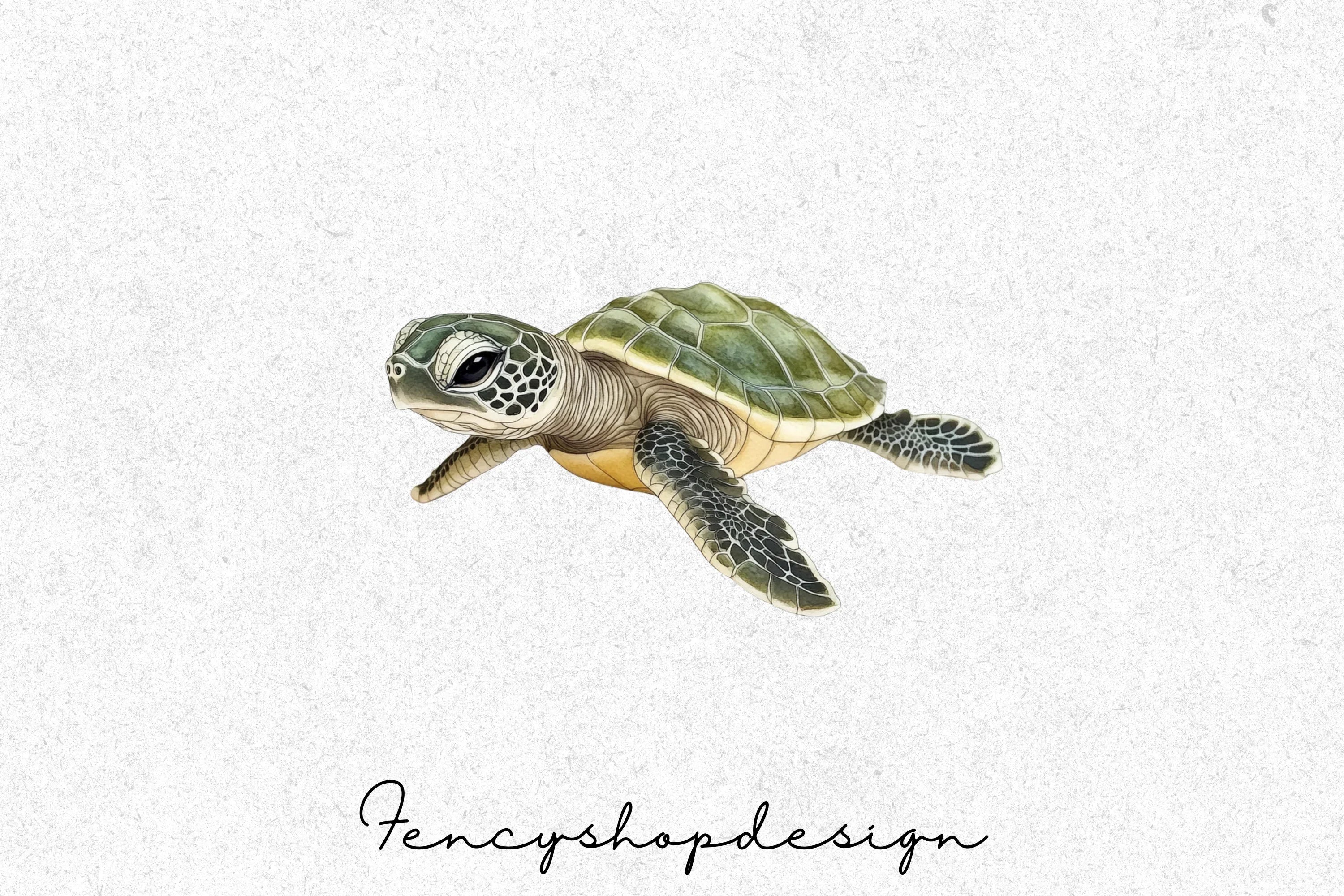 Baby Sea Turtle Clipart Bundle