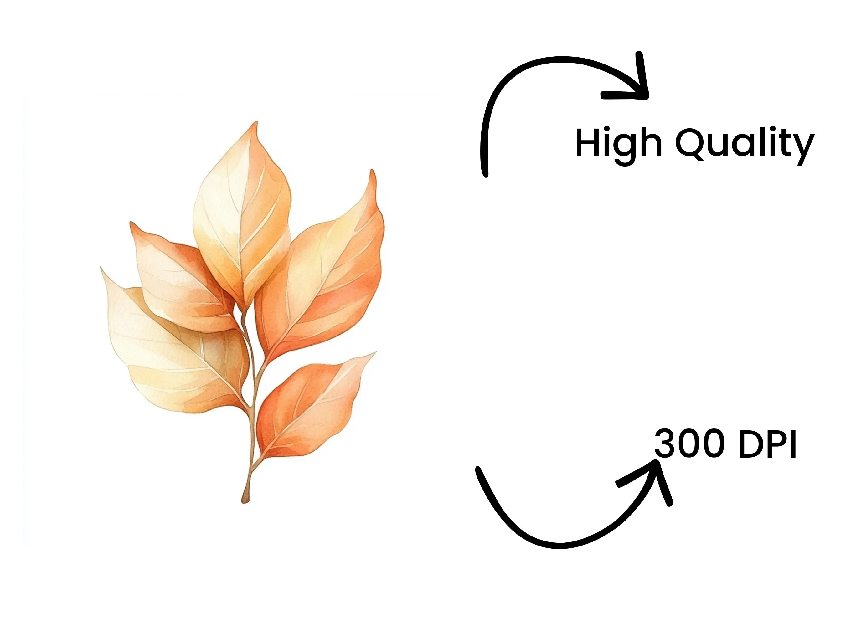 Warm Toned Autumn Leaf Branches Clipart Bundle