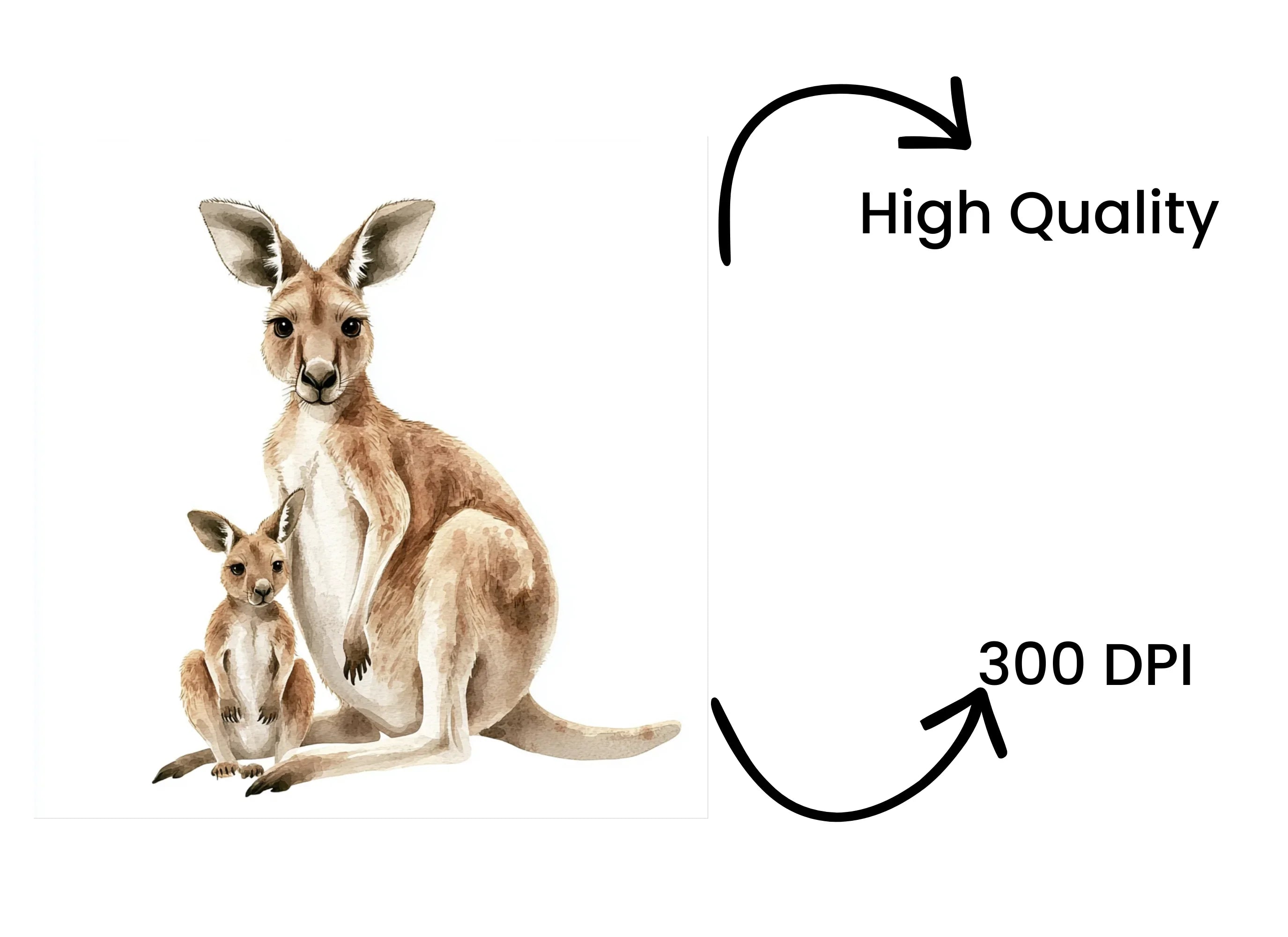 Kangaroo and Joey Clipart Bundle