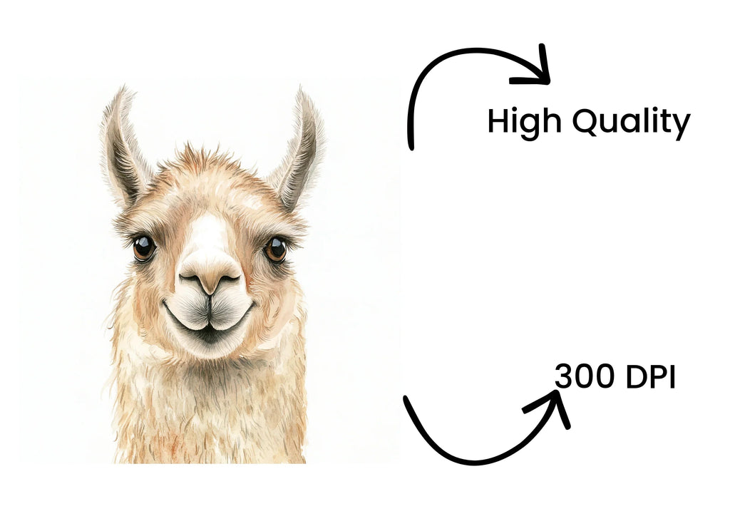Cute Llama Faces Clipart Bundle
