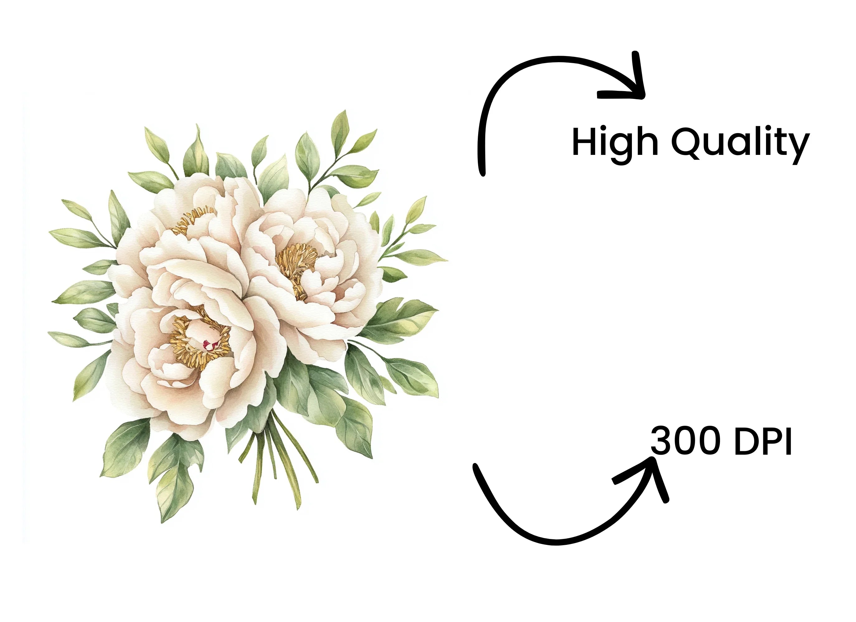 Peony Bouquet Clipart Bundle