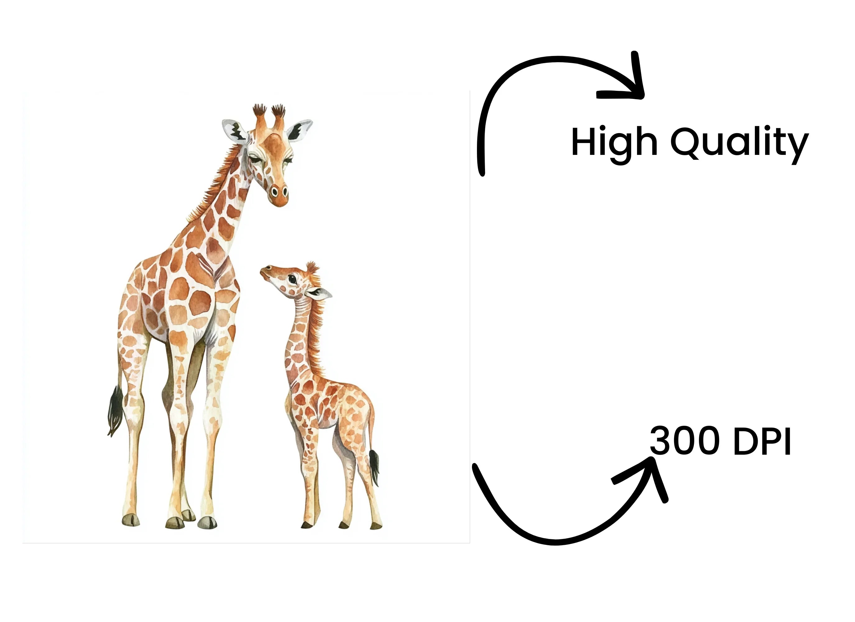 Animals Clipart