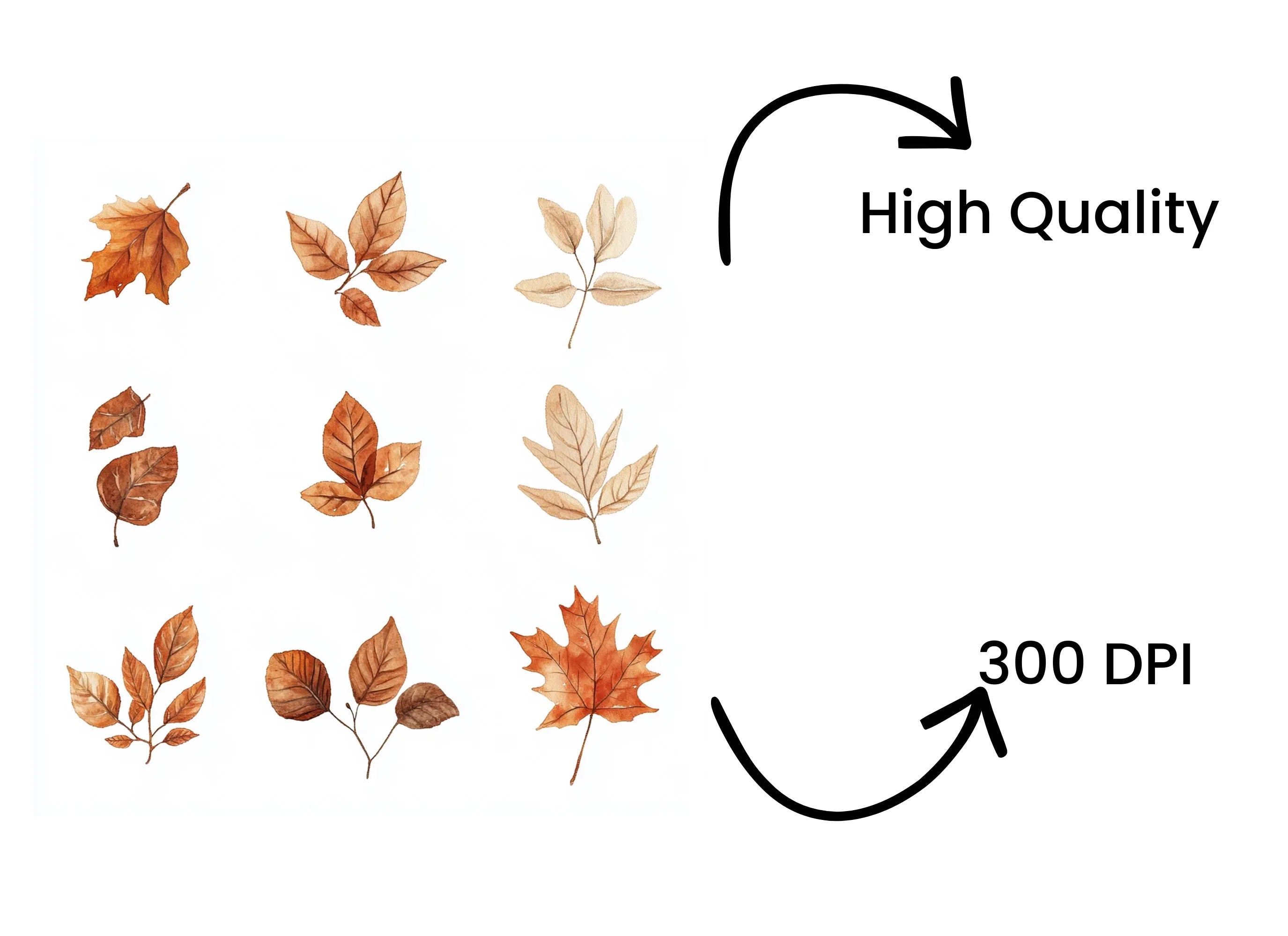 Autumn Leaves Clipart Bundle