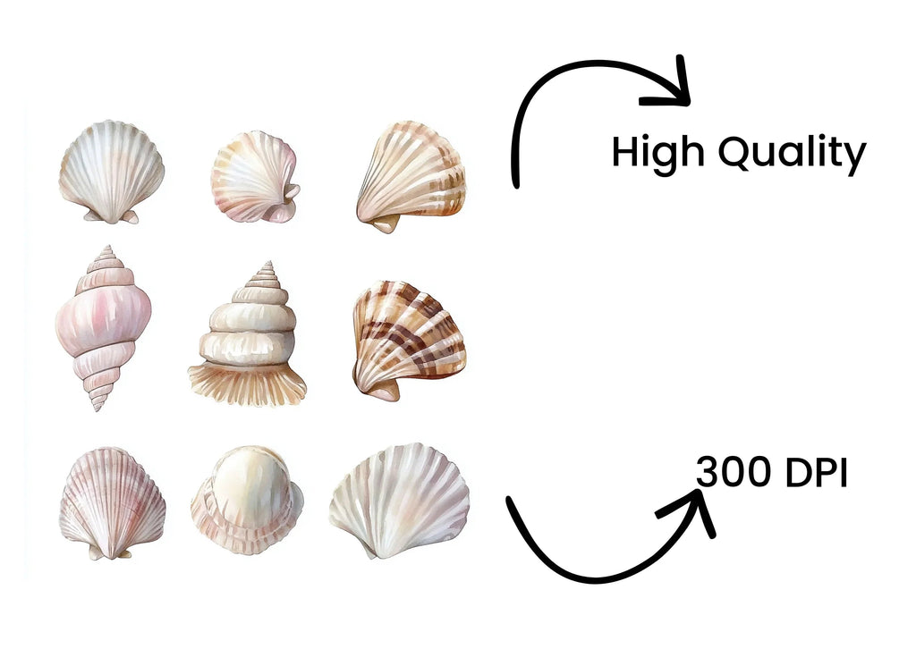 Diverse Seashell Clipart Bundle