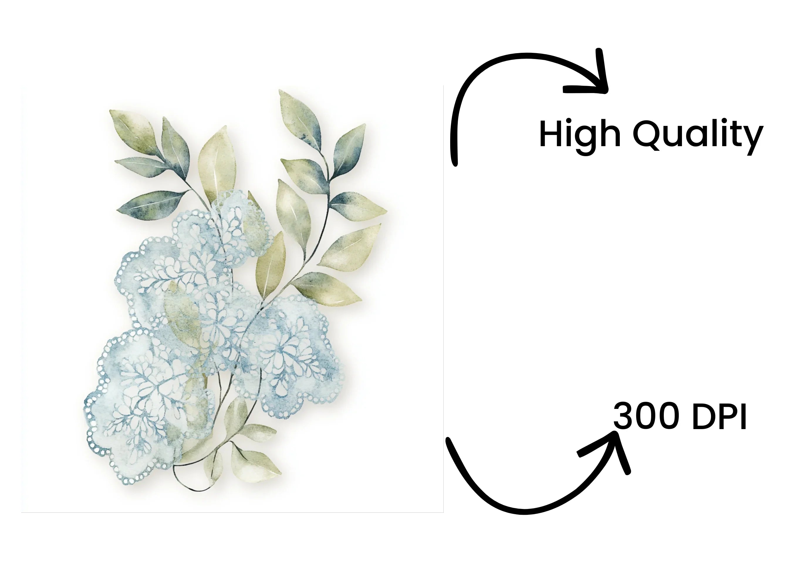 Green Leaves and Blue Lace Clipart Bundle