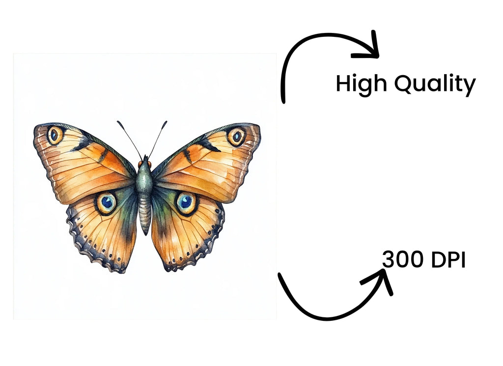 Butterfly Clipart Bundle