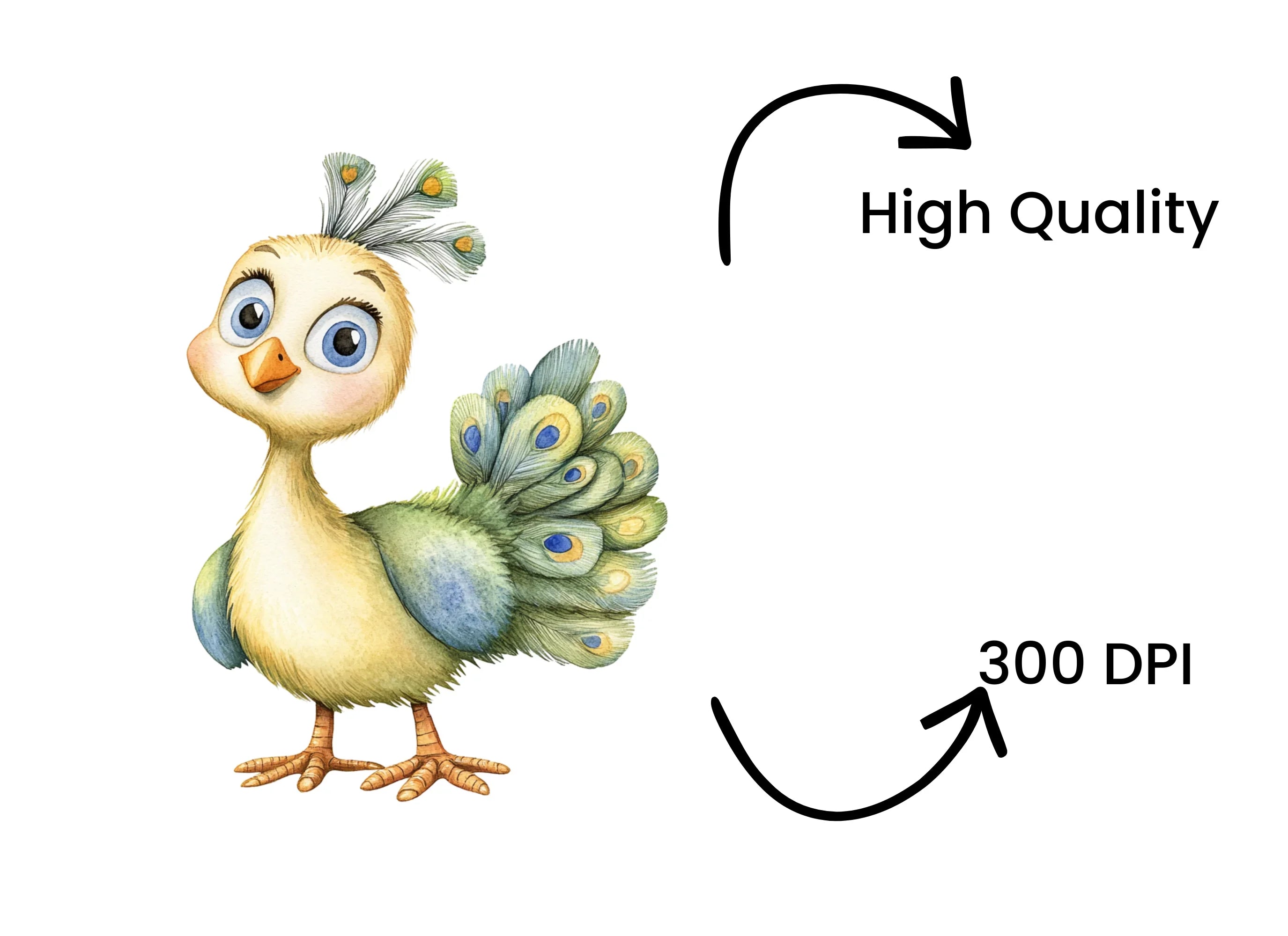 Charming Peacock Clipart Bundle
