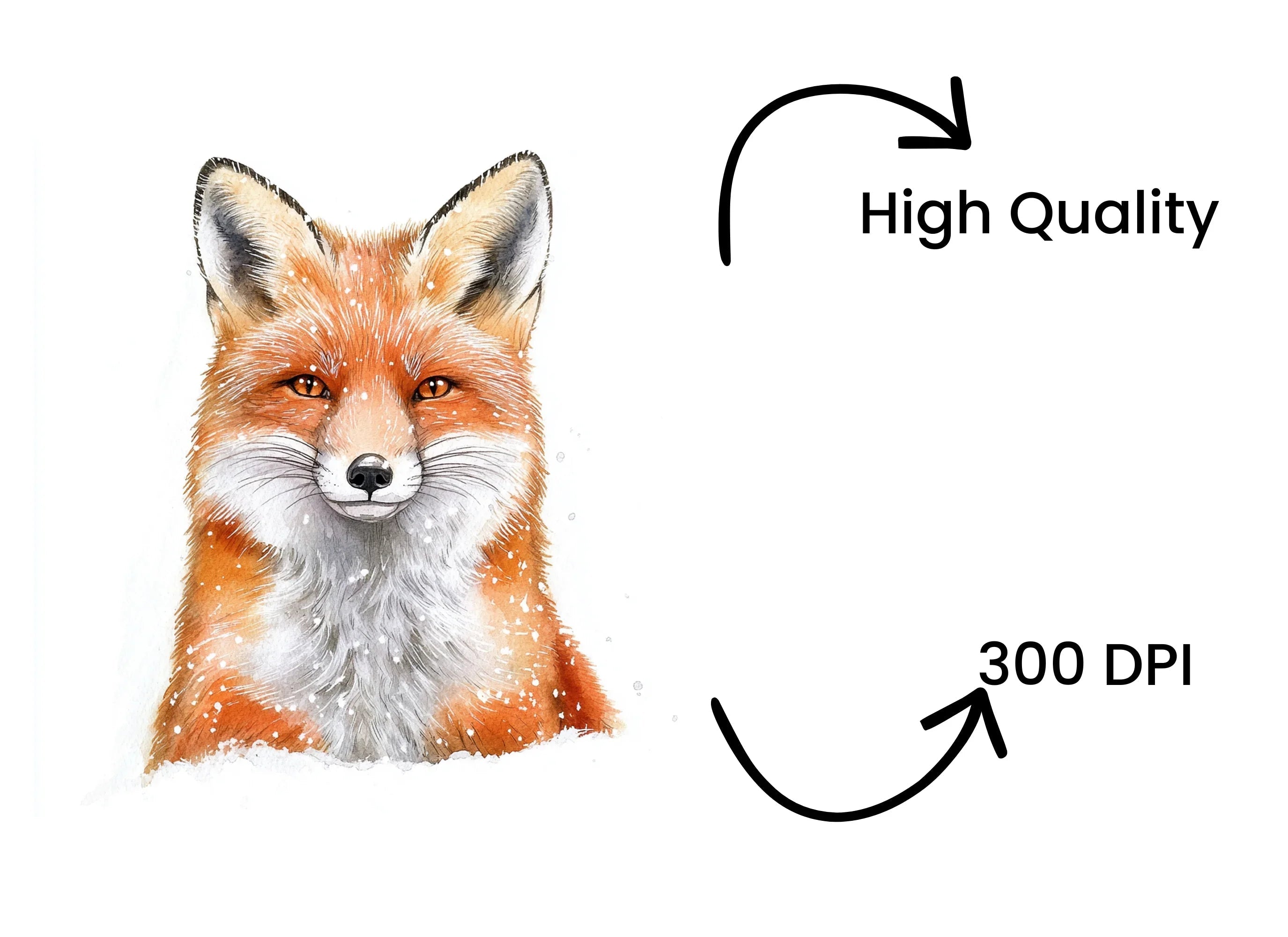 Winter Fox Head Clipart Bundle