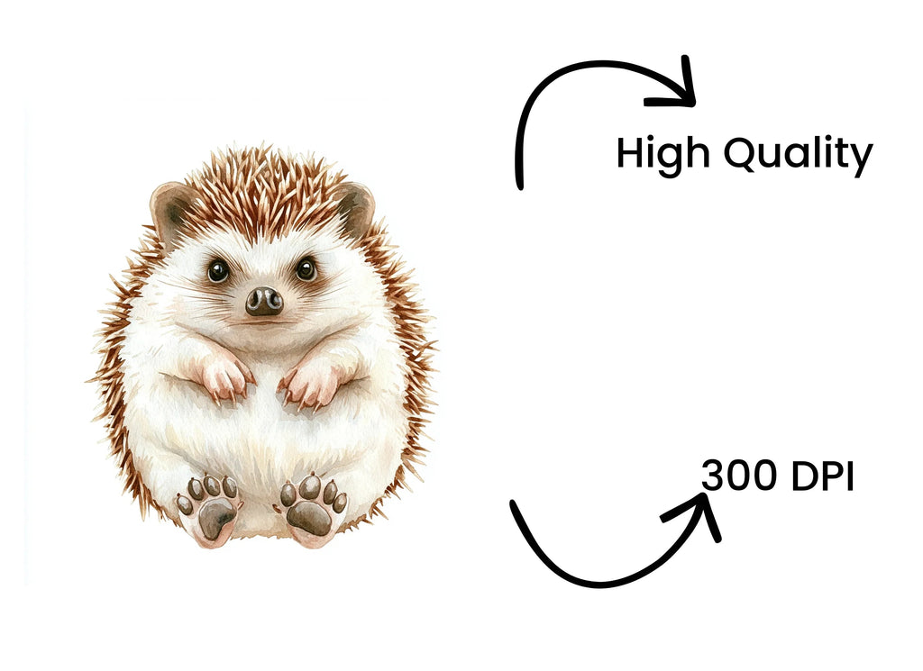 Cute Hedgehog Clipart Bundle