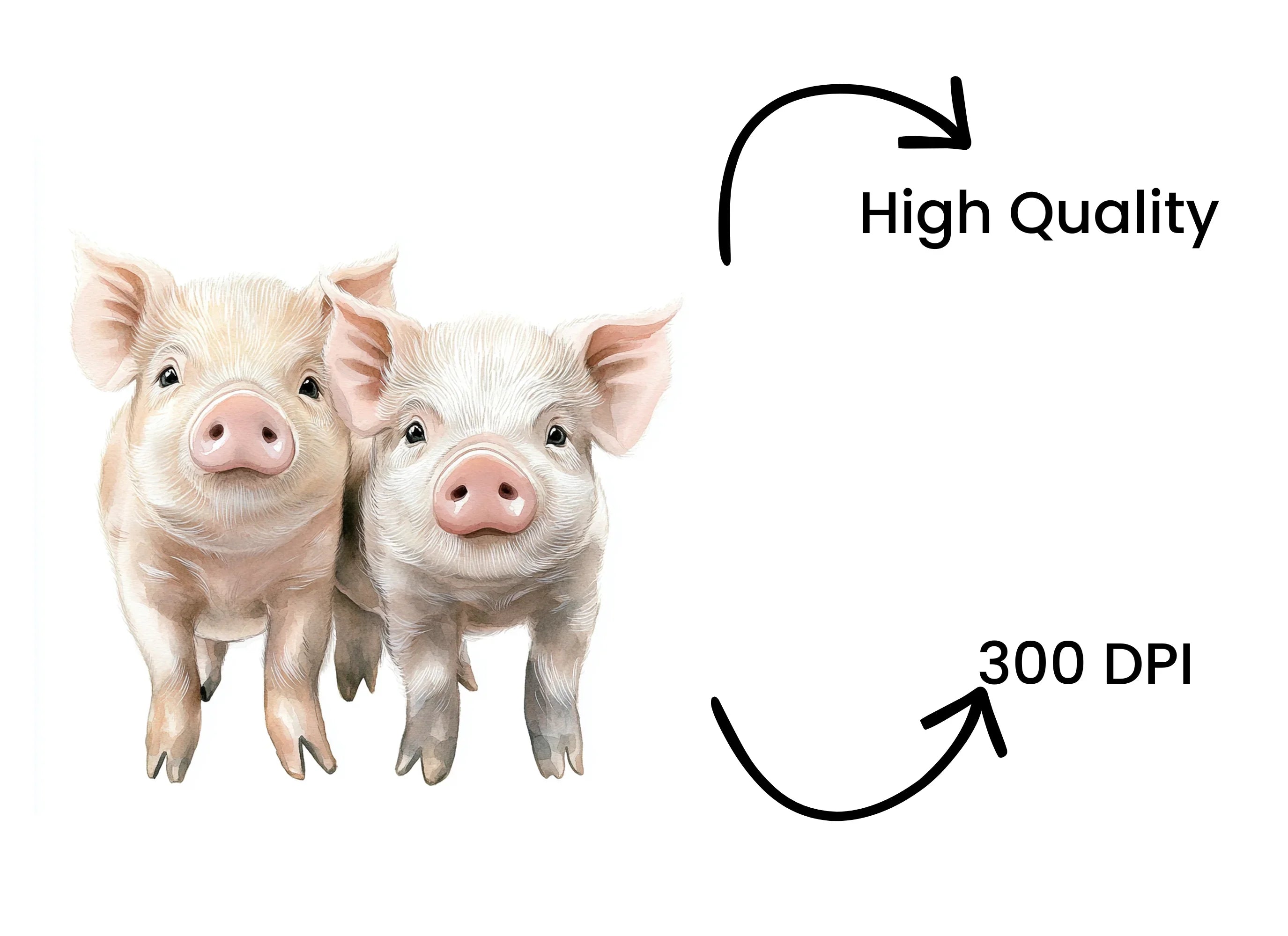 Adorable Piglet Duo Clipart Bundle