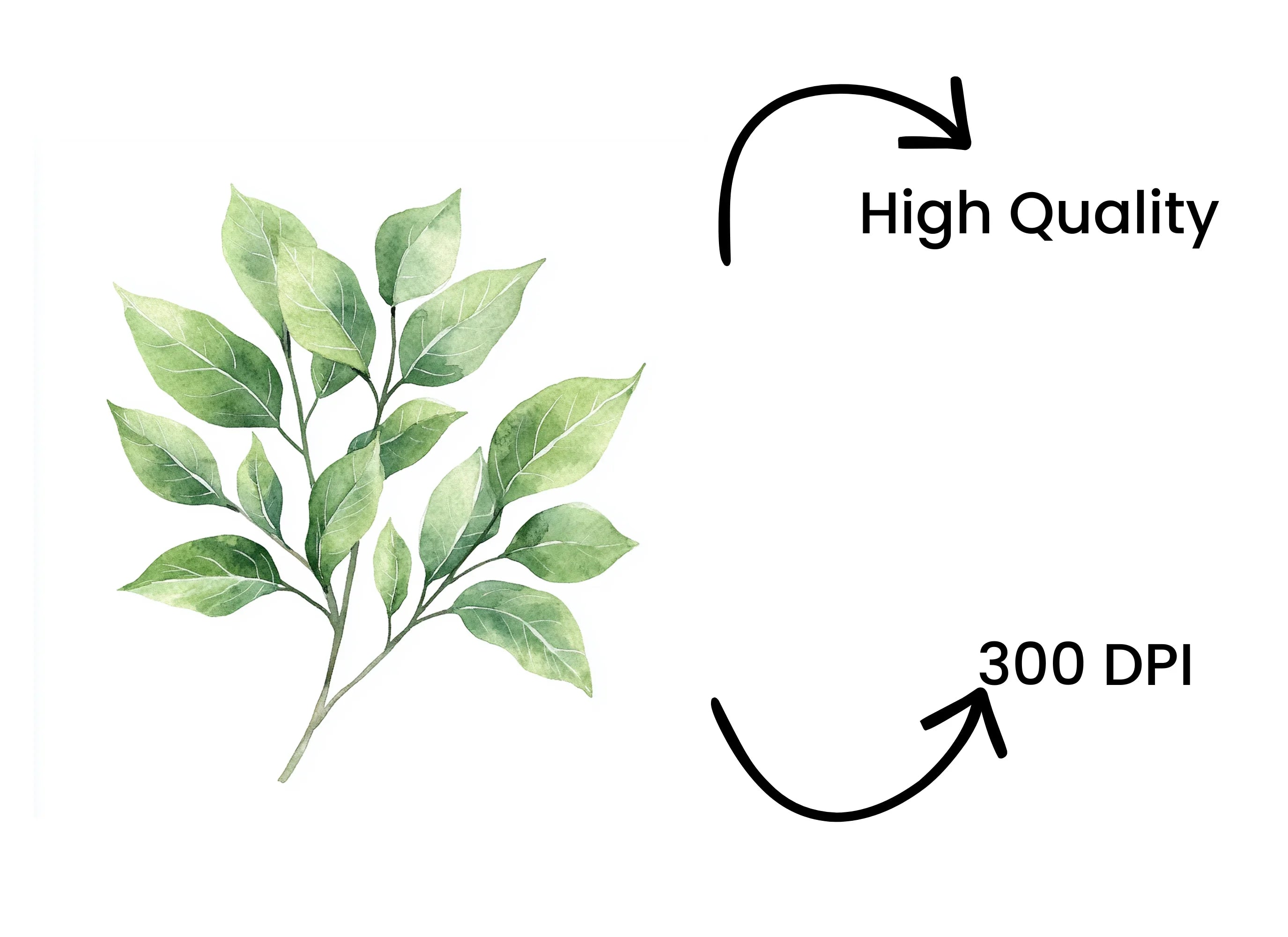 Green Leafy Branches Clipart Bundle
