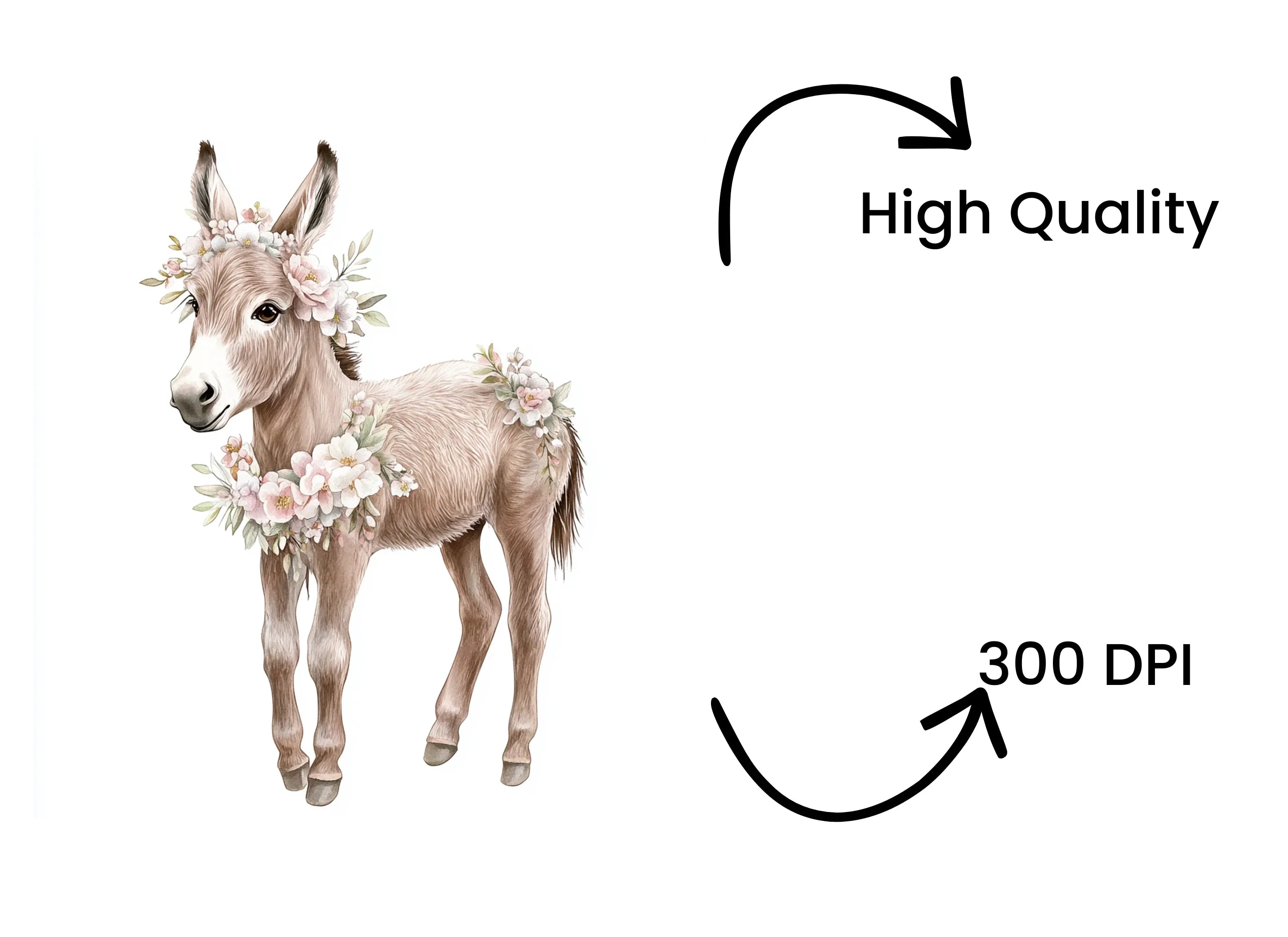 Baby Donkey Floral Wreath Clipart Bundle
