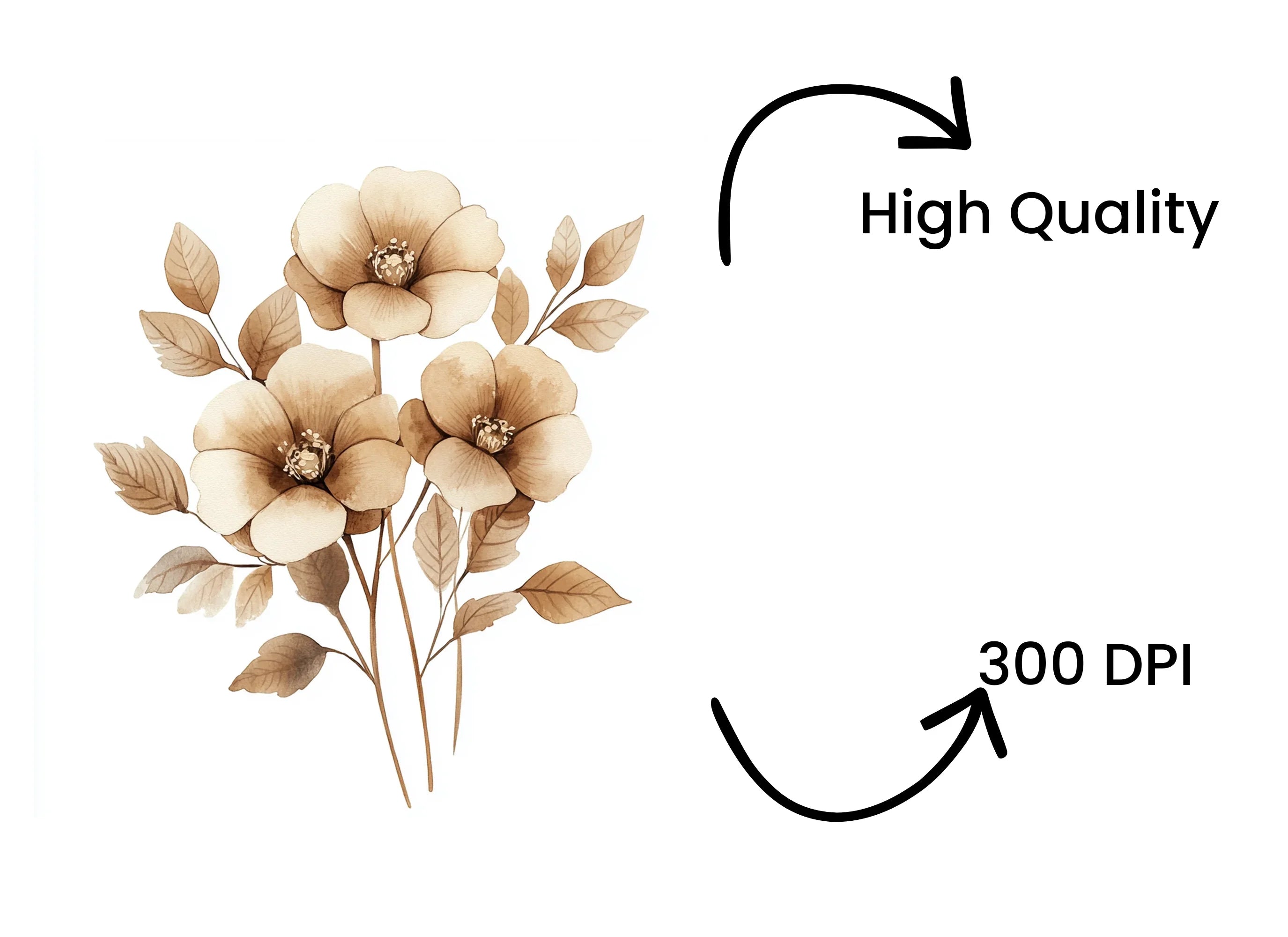 Elegant Sepia Floral Clipart Bundle