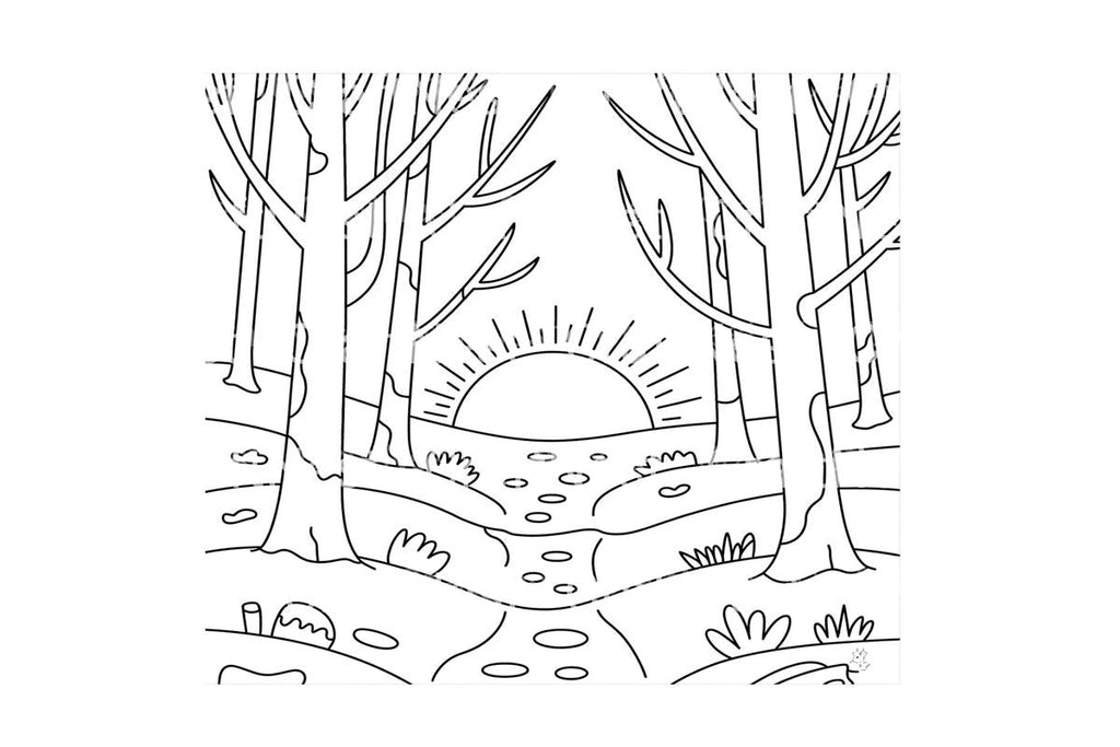 Winter Forest Sunrise Coloring Books