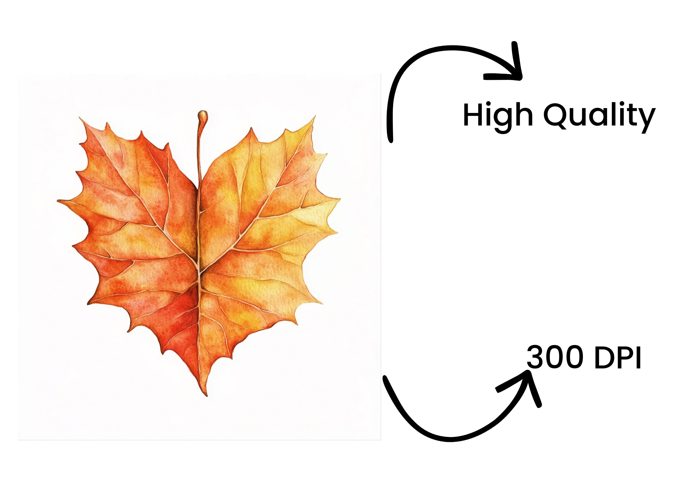 Autumn Leaves Clipart Bundle