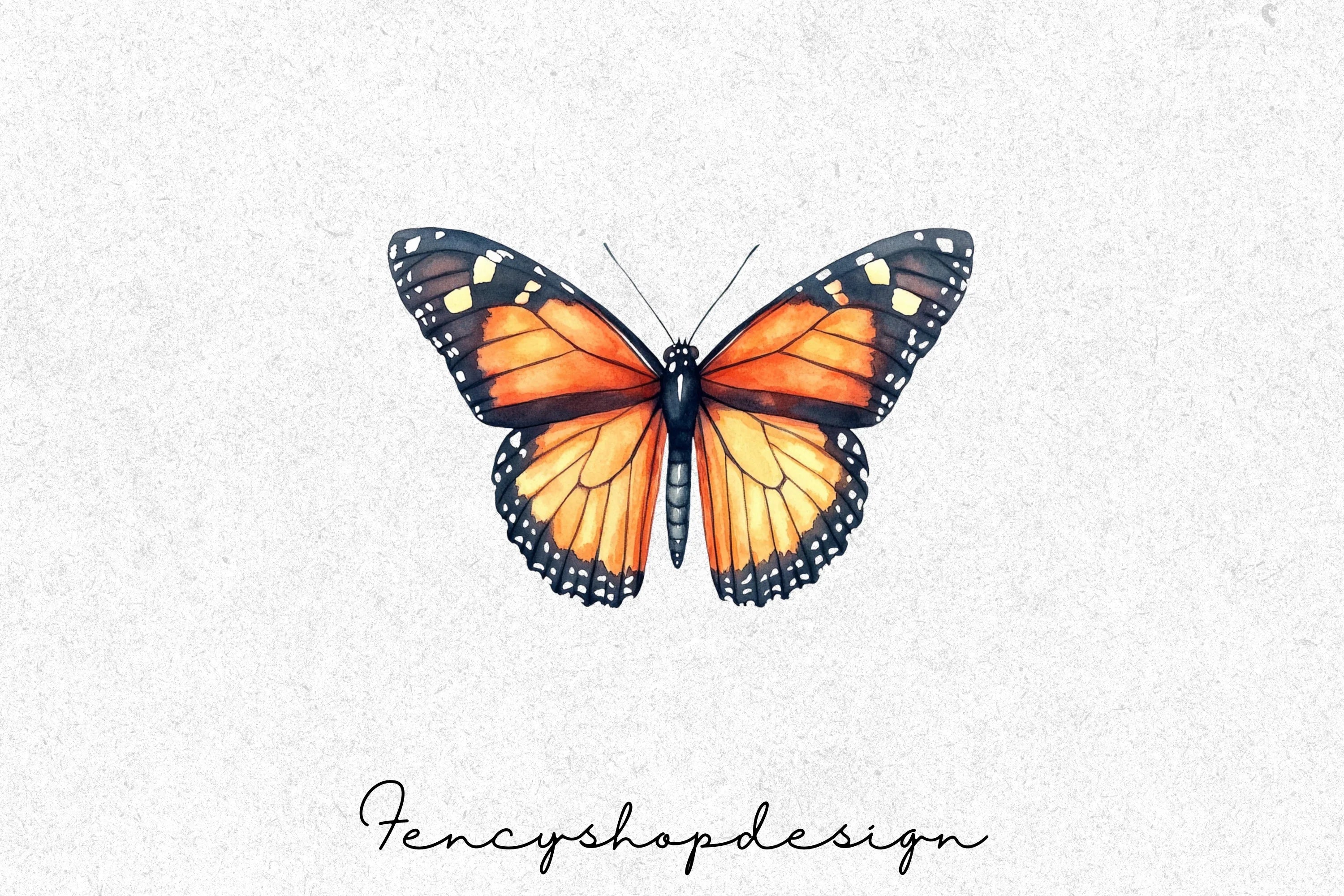 Monarch Butterfly Clipart Bundle