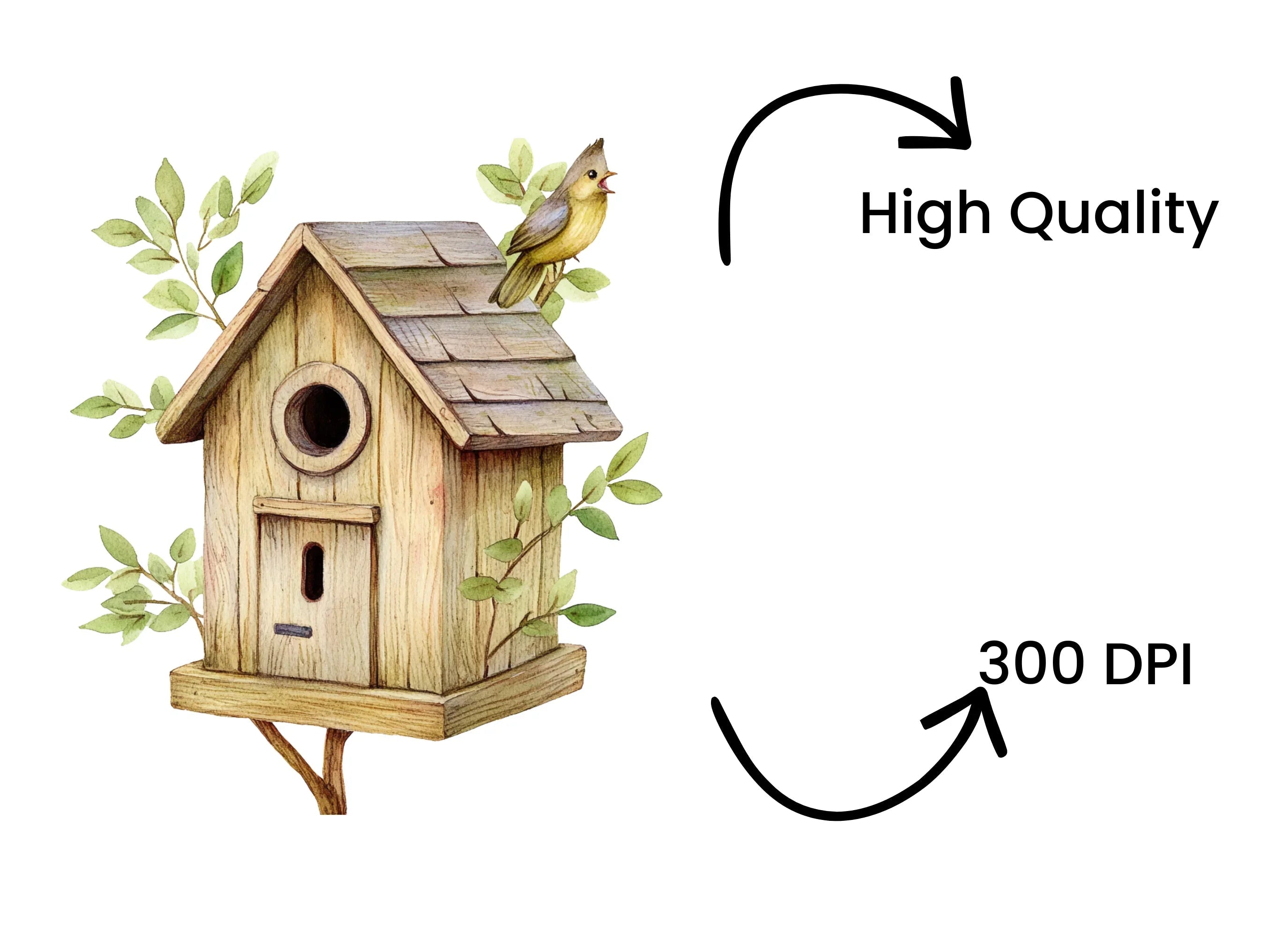 Birdhouse with Singing Bird Clipart Bundle