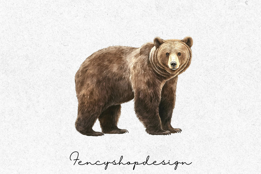 Brown Bear Clipart Bundle