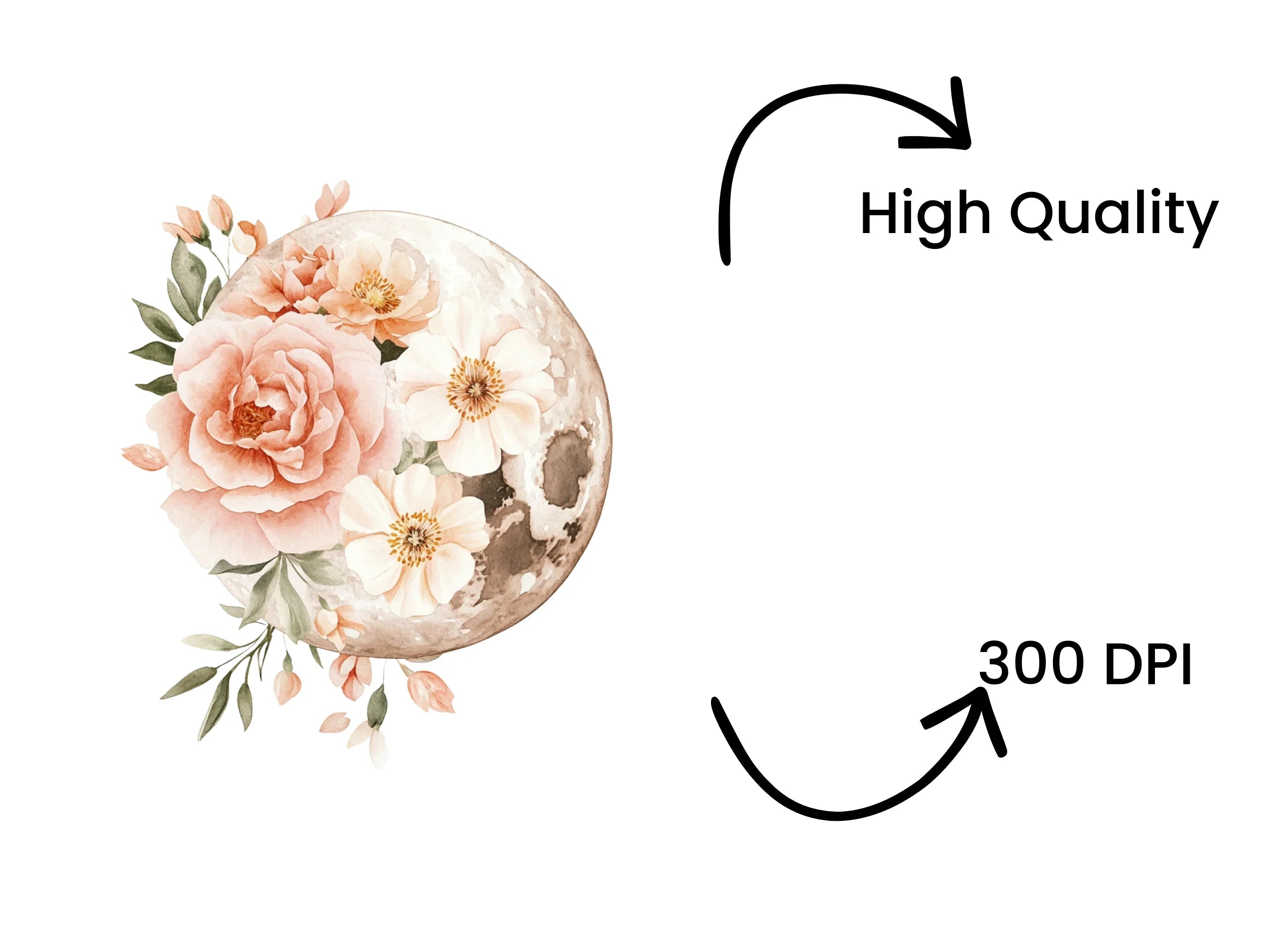Floral Moon Clipart Bundle