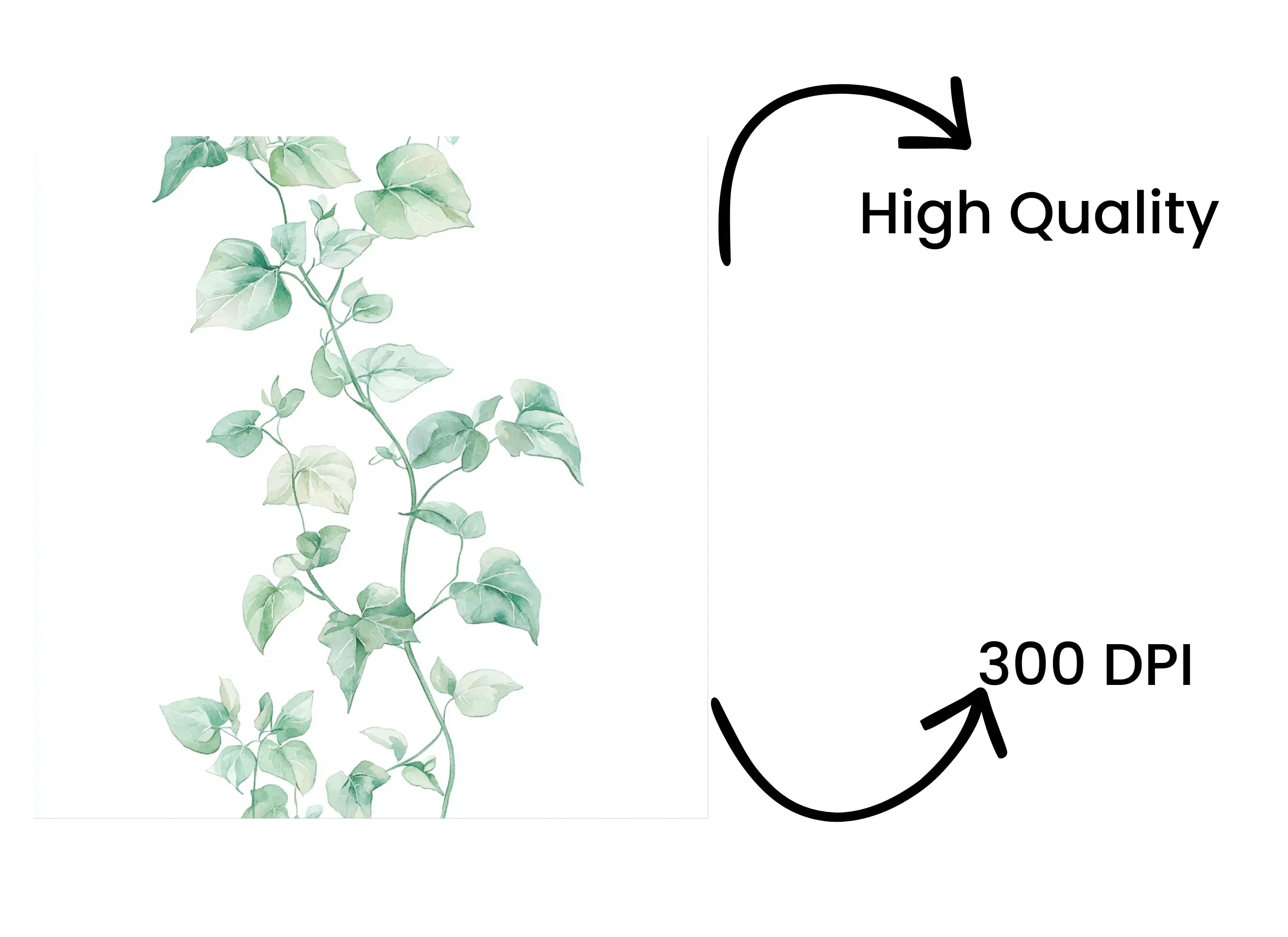 Greenery Vines Clipart Bundle