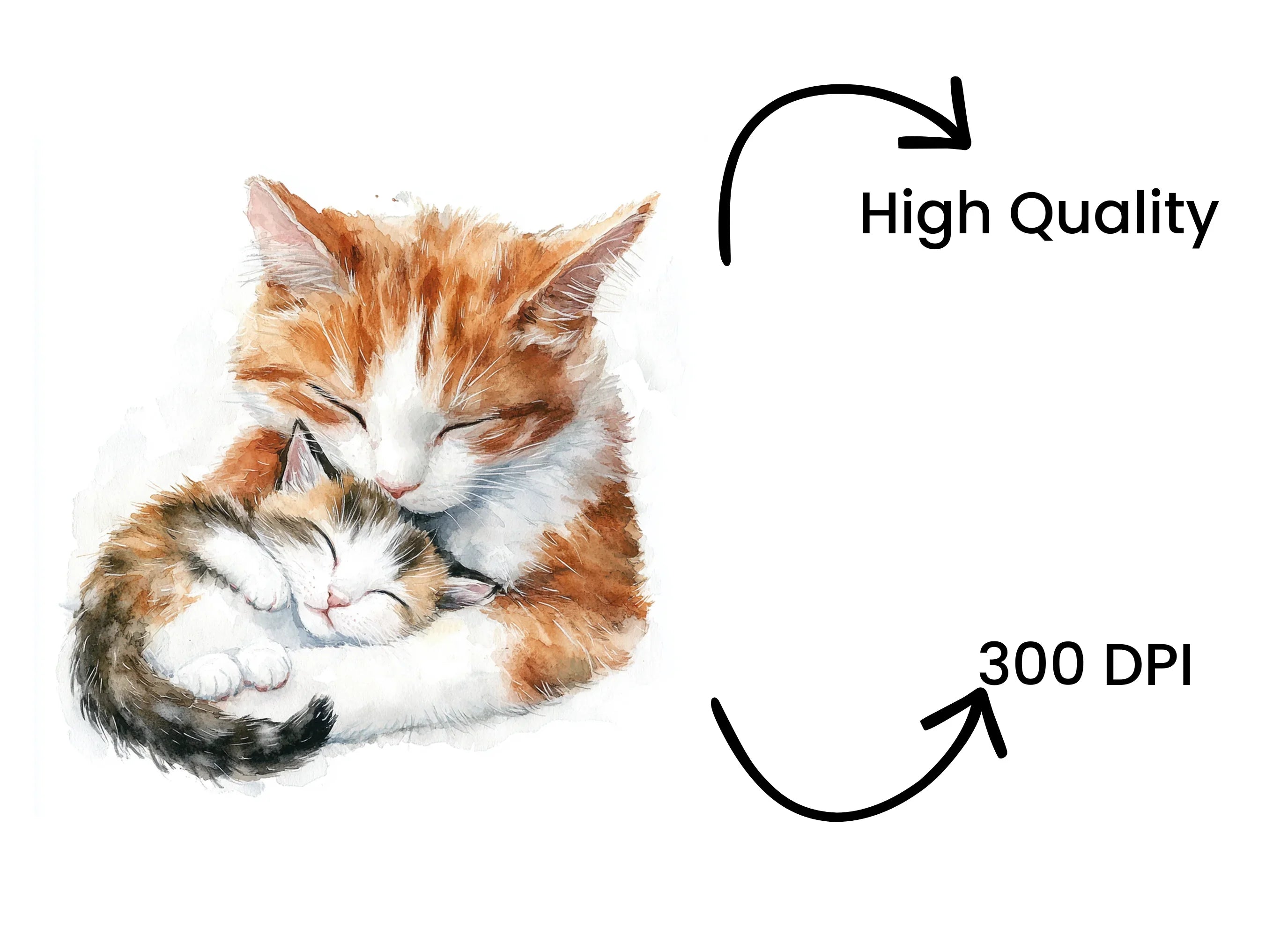 Adorable Cat Family Clipart Bundle