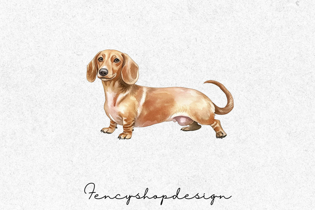Adorable Dachshund Dog Clipart Bundle