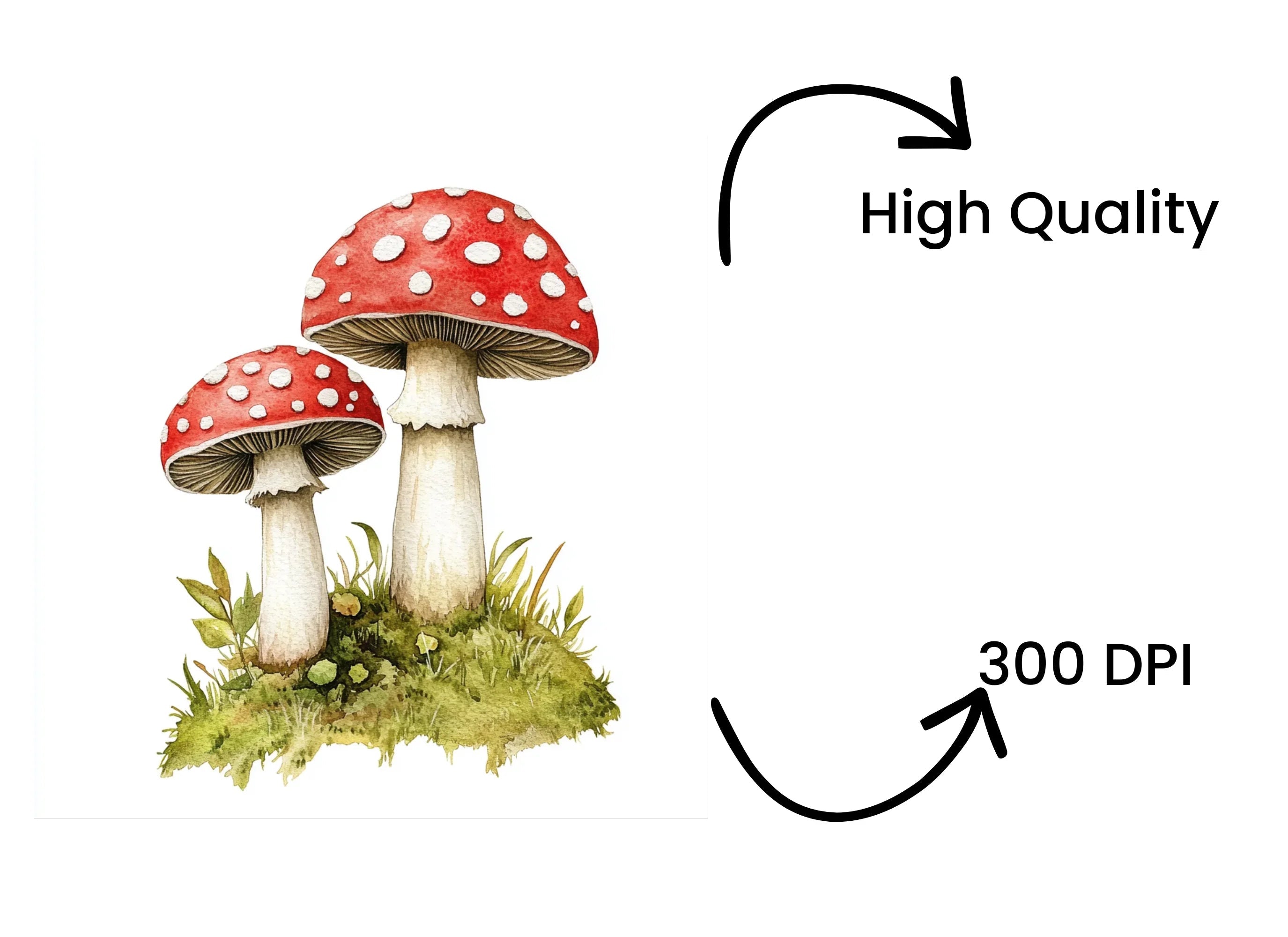 Red Mushroom Clipart Bundle