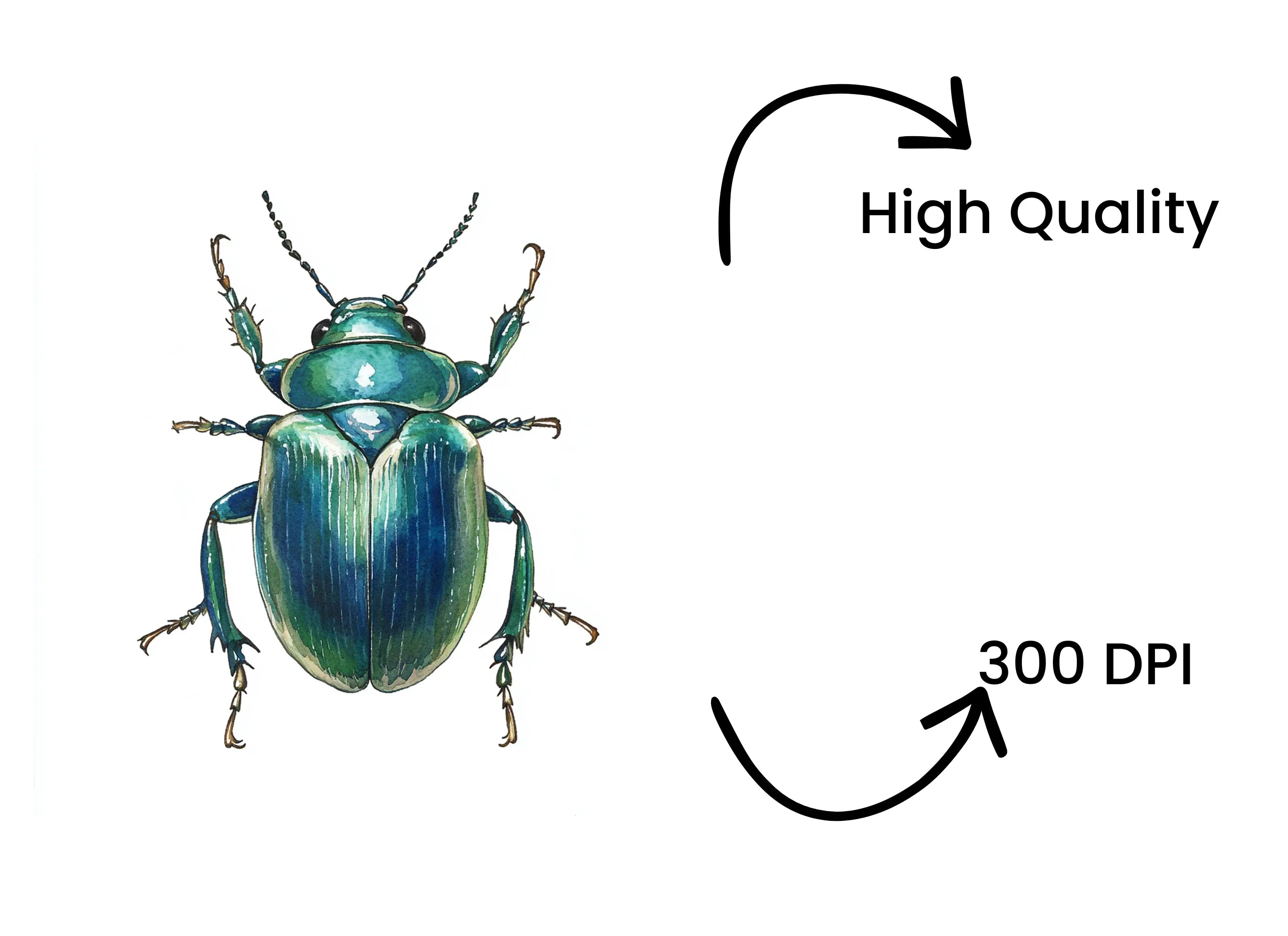 Shiny Green Beetle Clipart Bundle