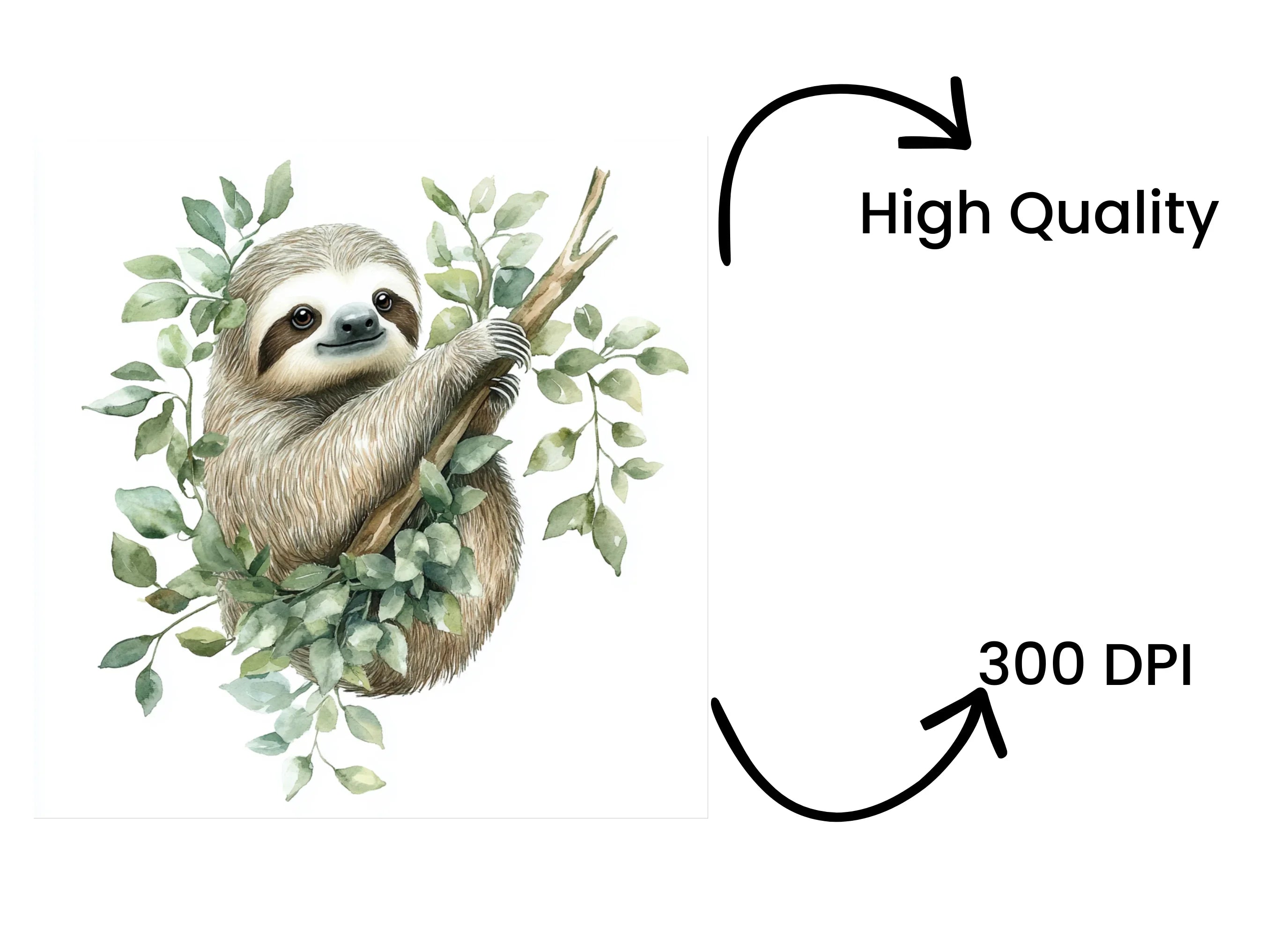 Adorable Sloth Jungle Leaves Clipart Bundle