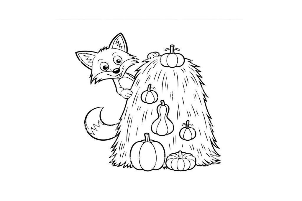 Autumn Fox and Pumpkins Coloring Books