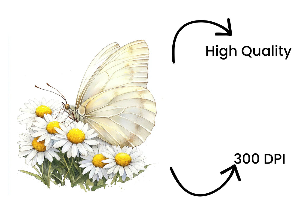 Elegant White Butterfly Daisy Clipart Bundle