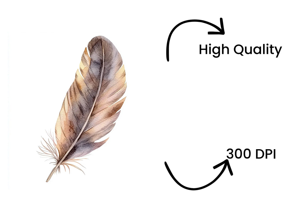 Boho Feather Clipart Bundle