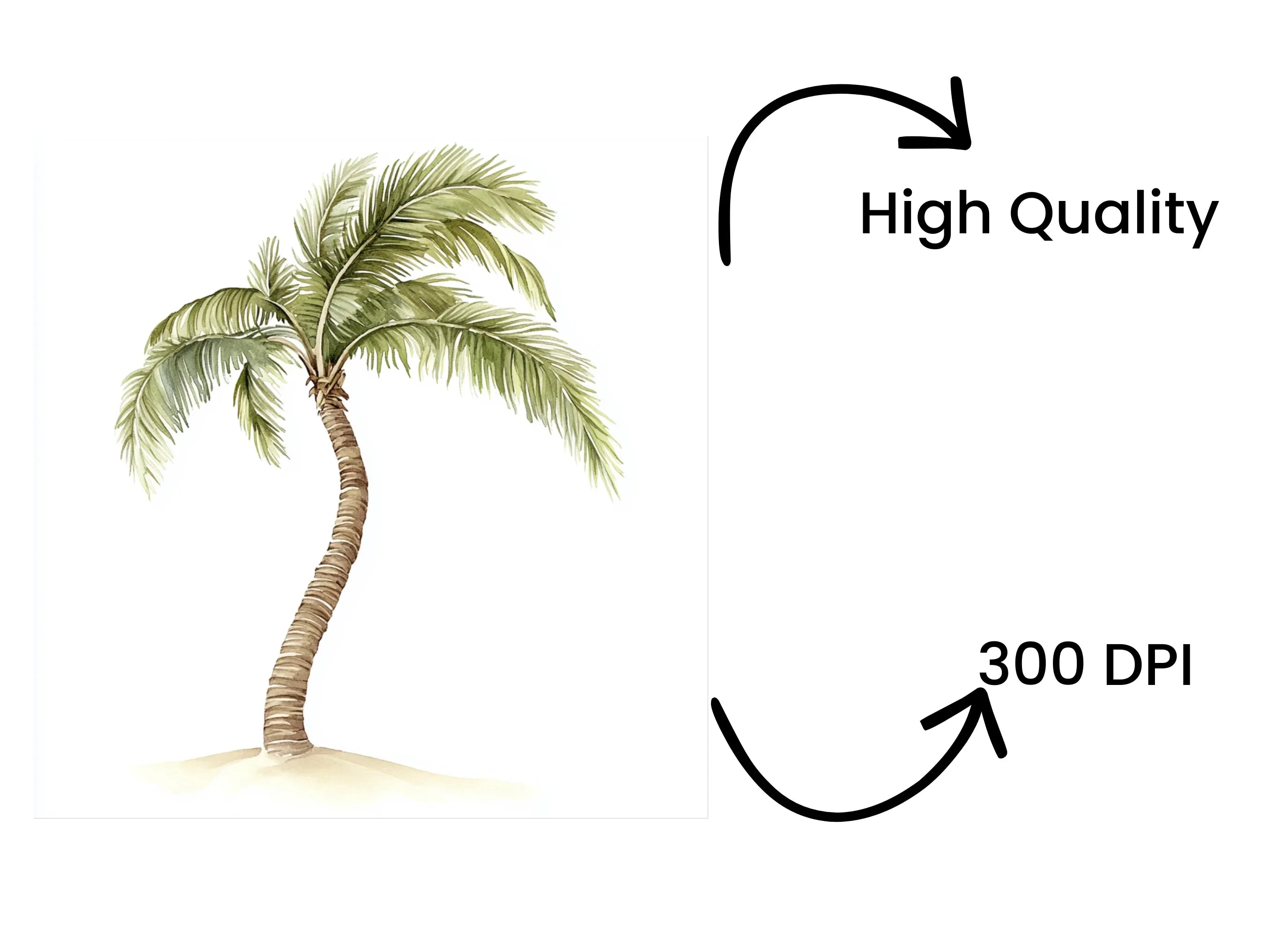 Palm Tree Clipart Bundle