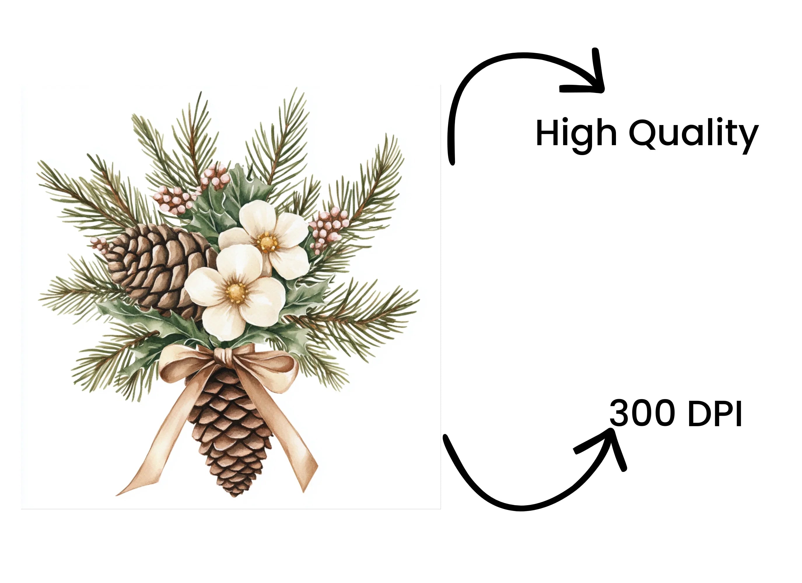 Christmas Pine Cone Flower Clipart Bundle