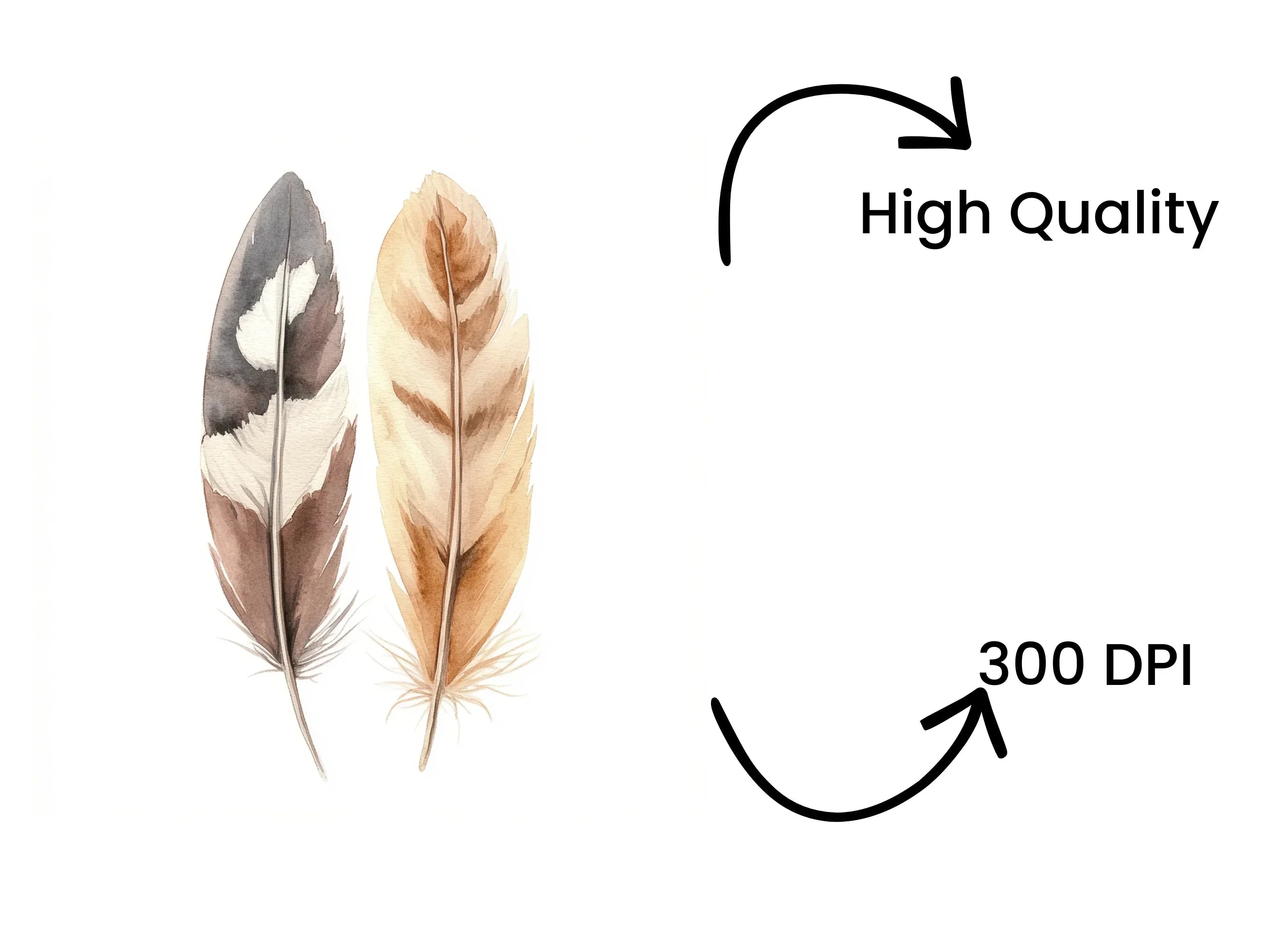 Rustic Feather Pair Clipart Bundle