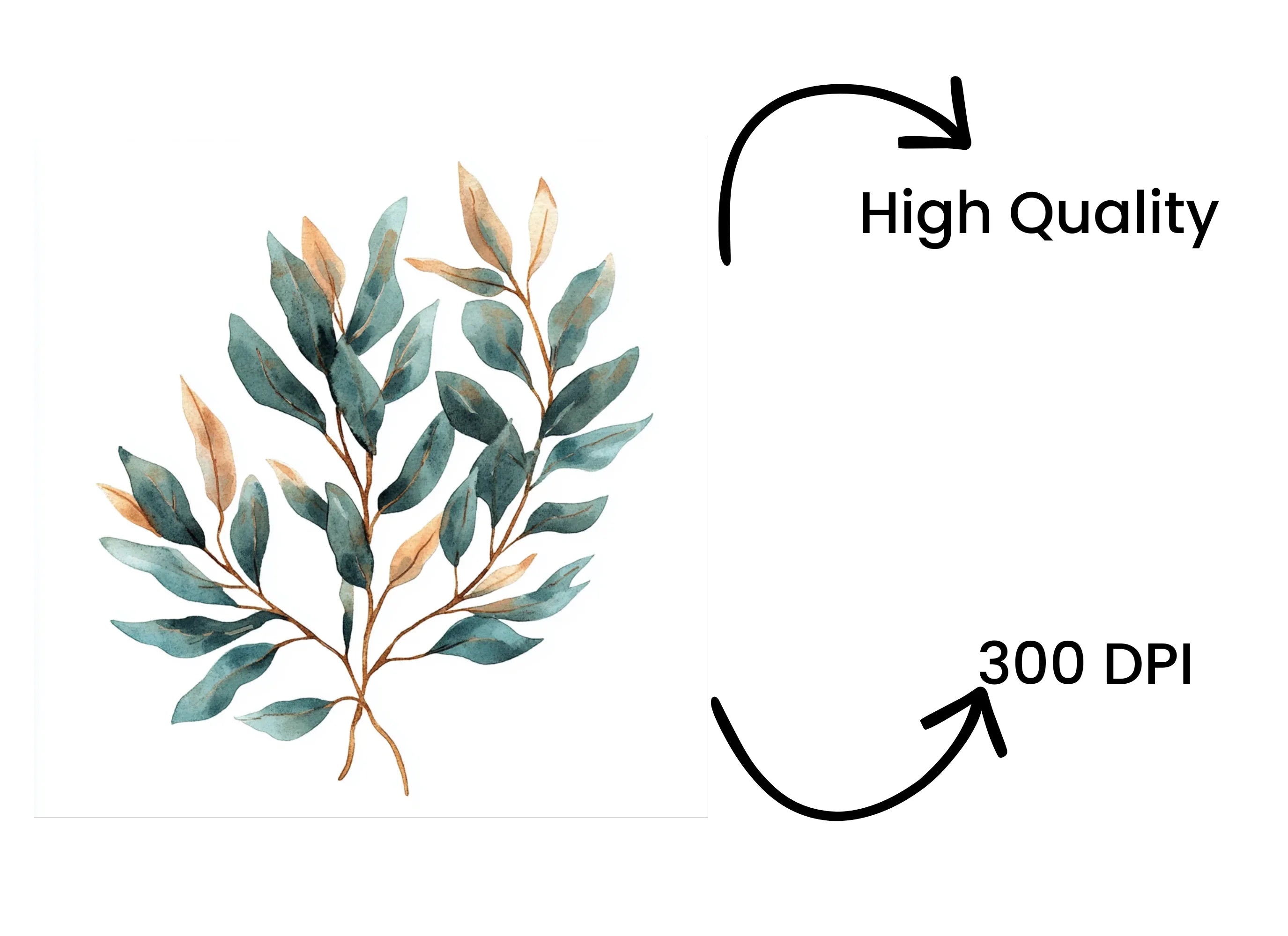 Botanical Leaves Clipart Bundle