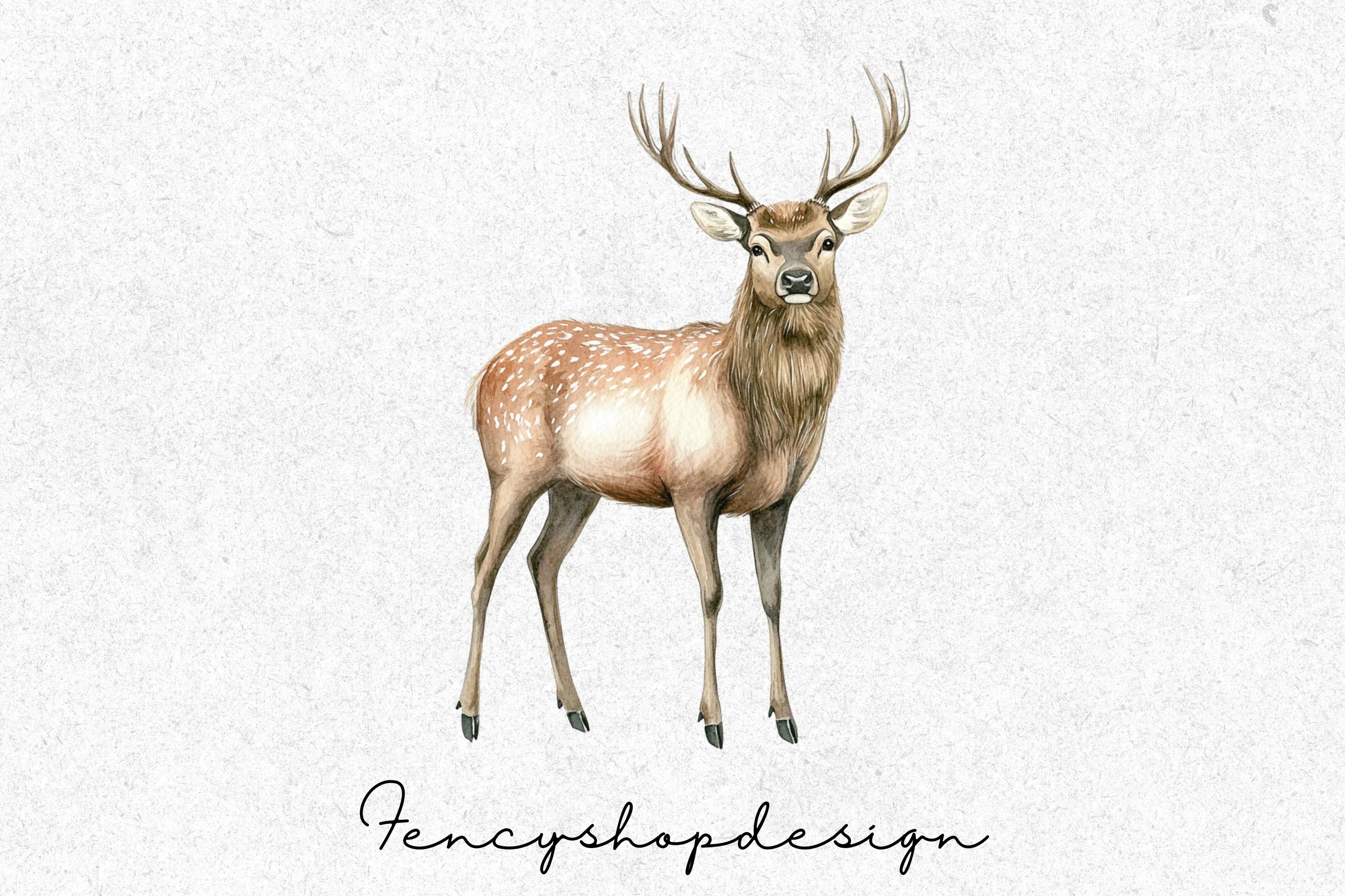 Majestic Realistic Deer Clipart Bundle